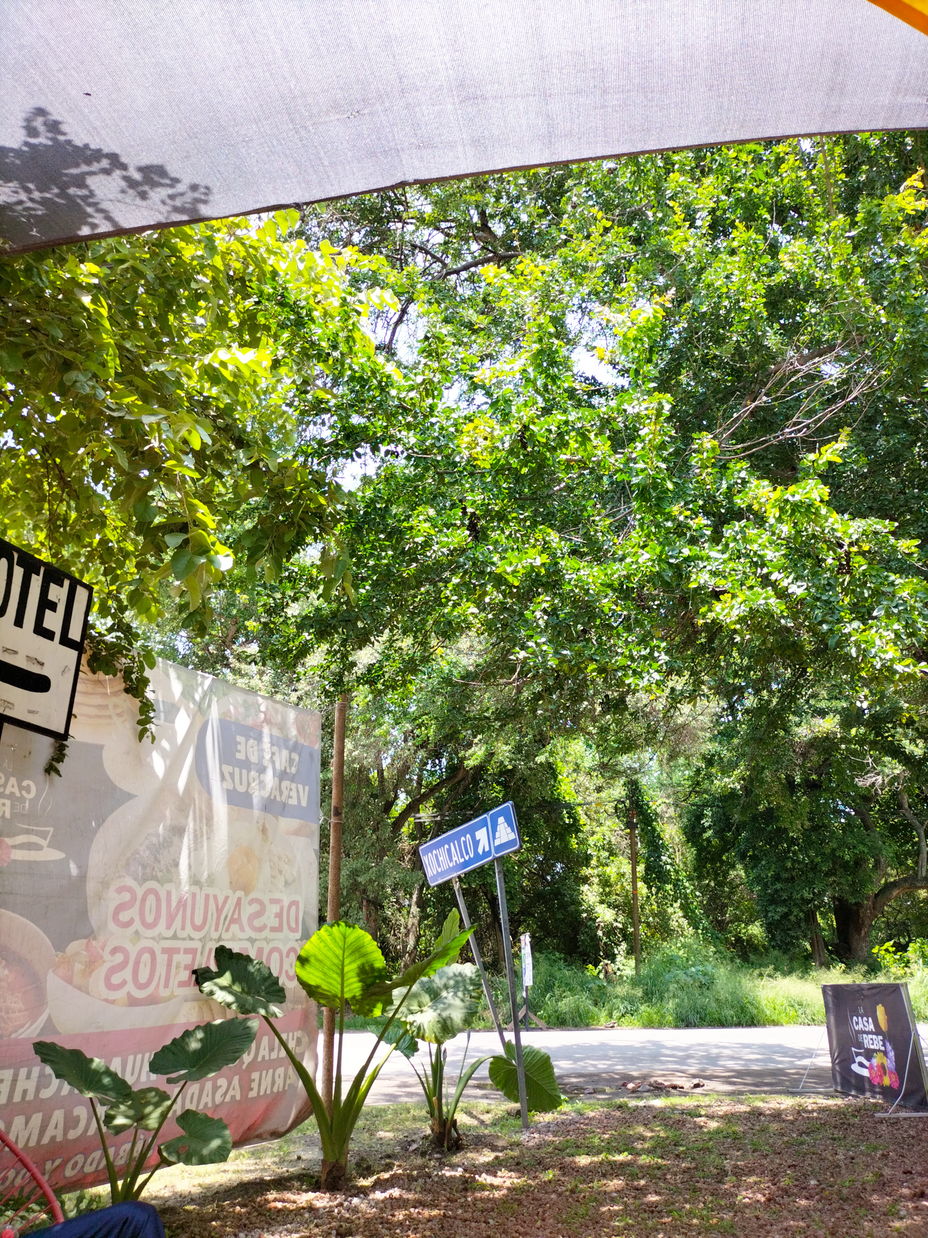 La Casa de Rebe image 10