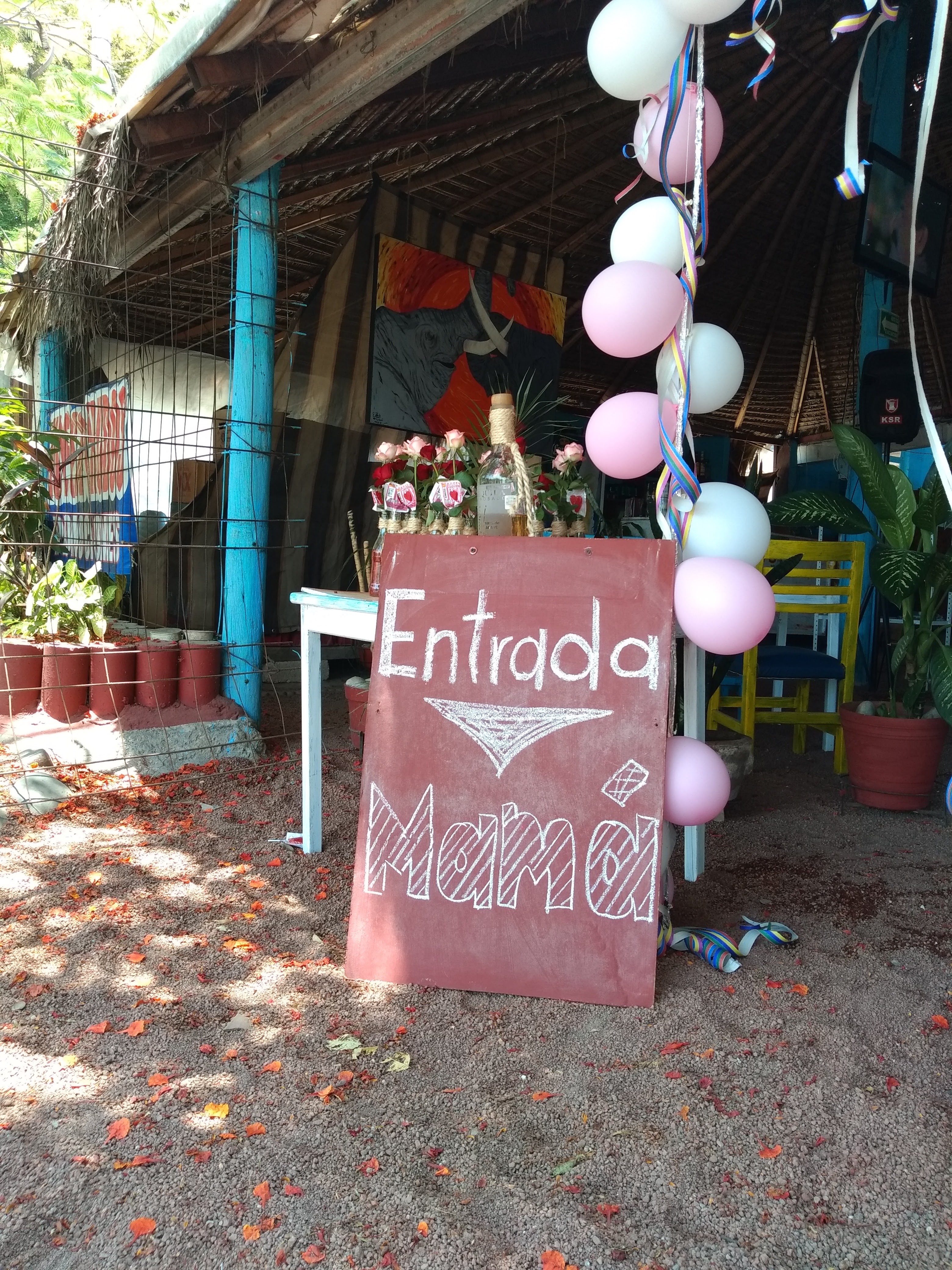 Pollo de sabores (yapa's) image 2