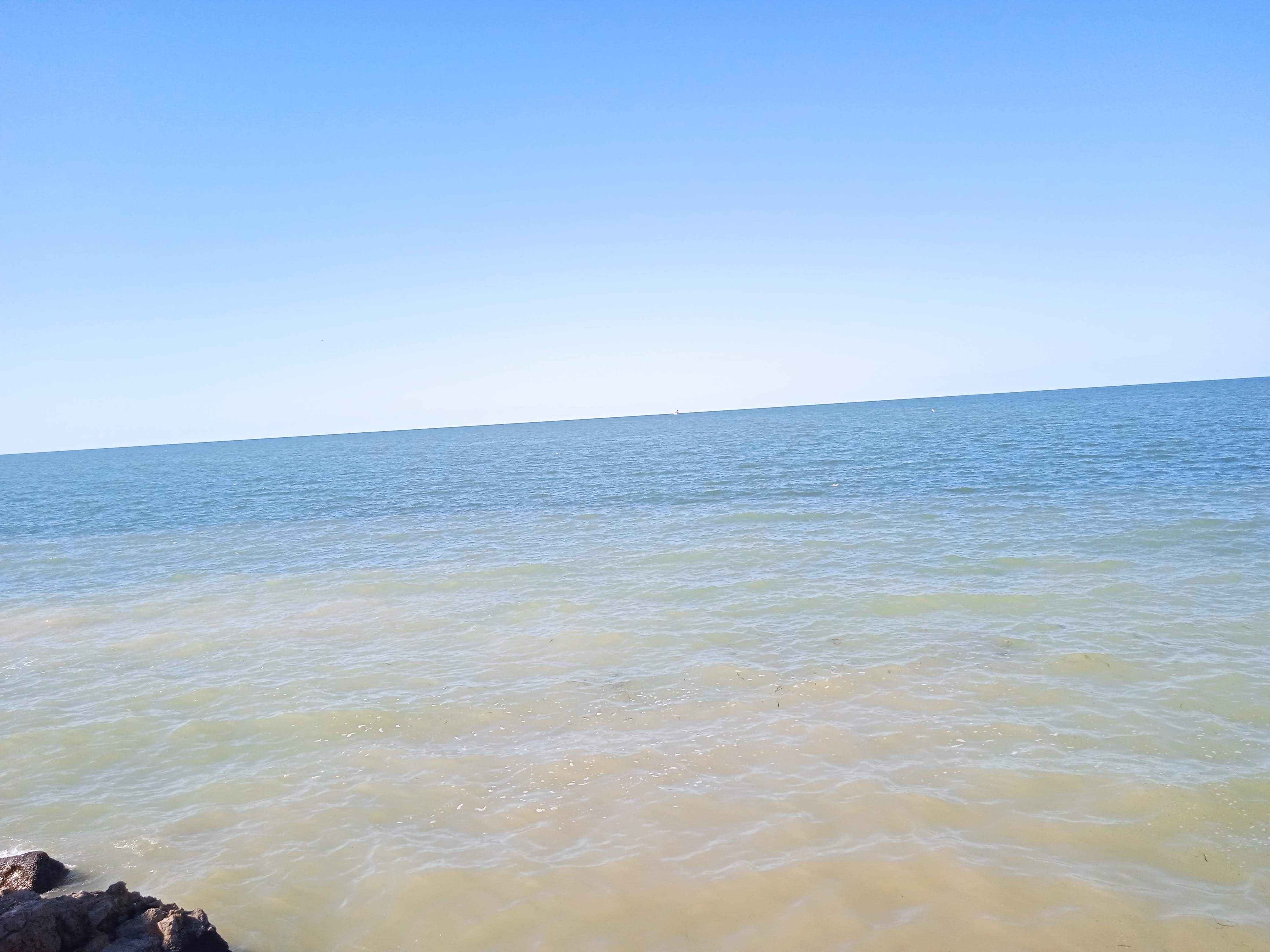 Pescaderia San Pedro image 3