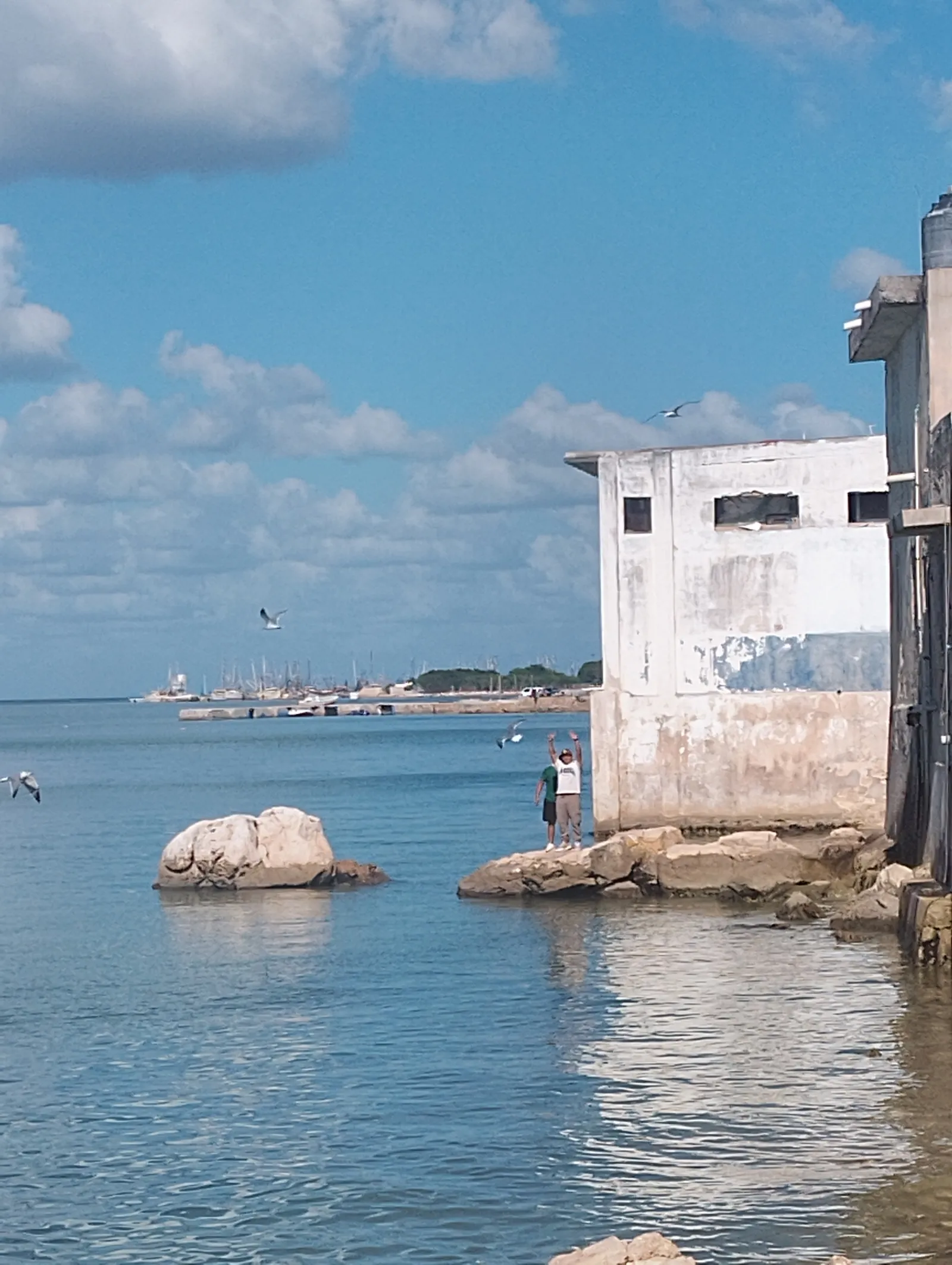 Pescaderia San Pedro image 4