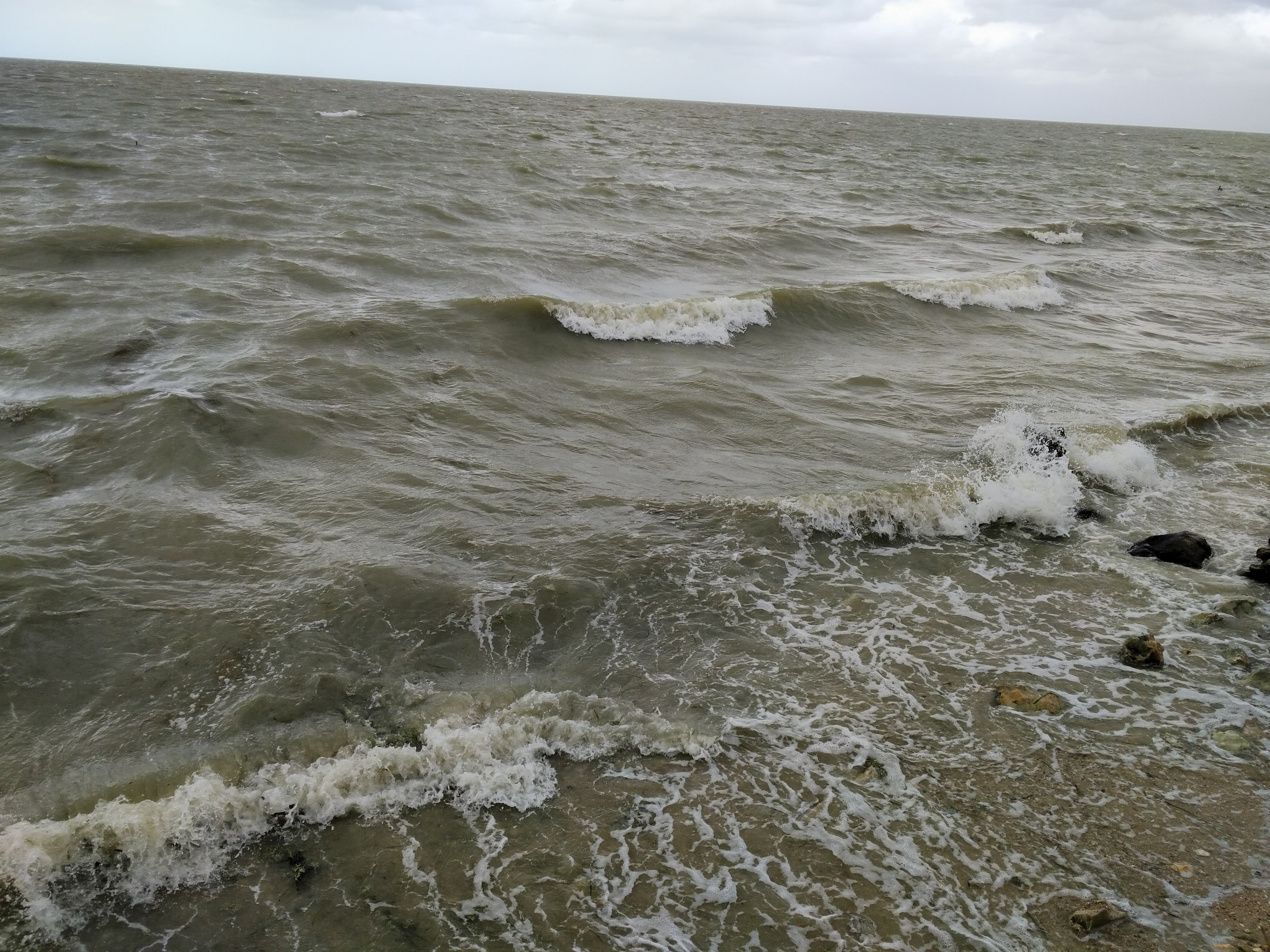 Pescaderia San Pedro image 6