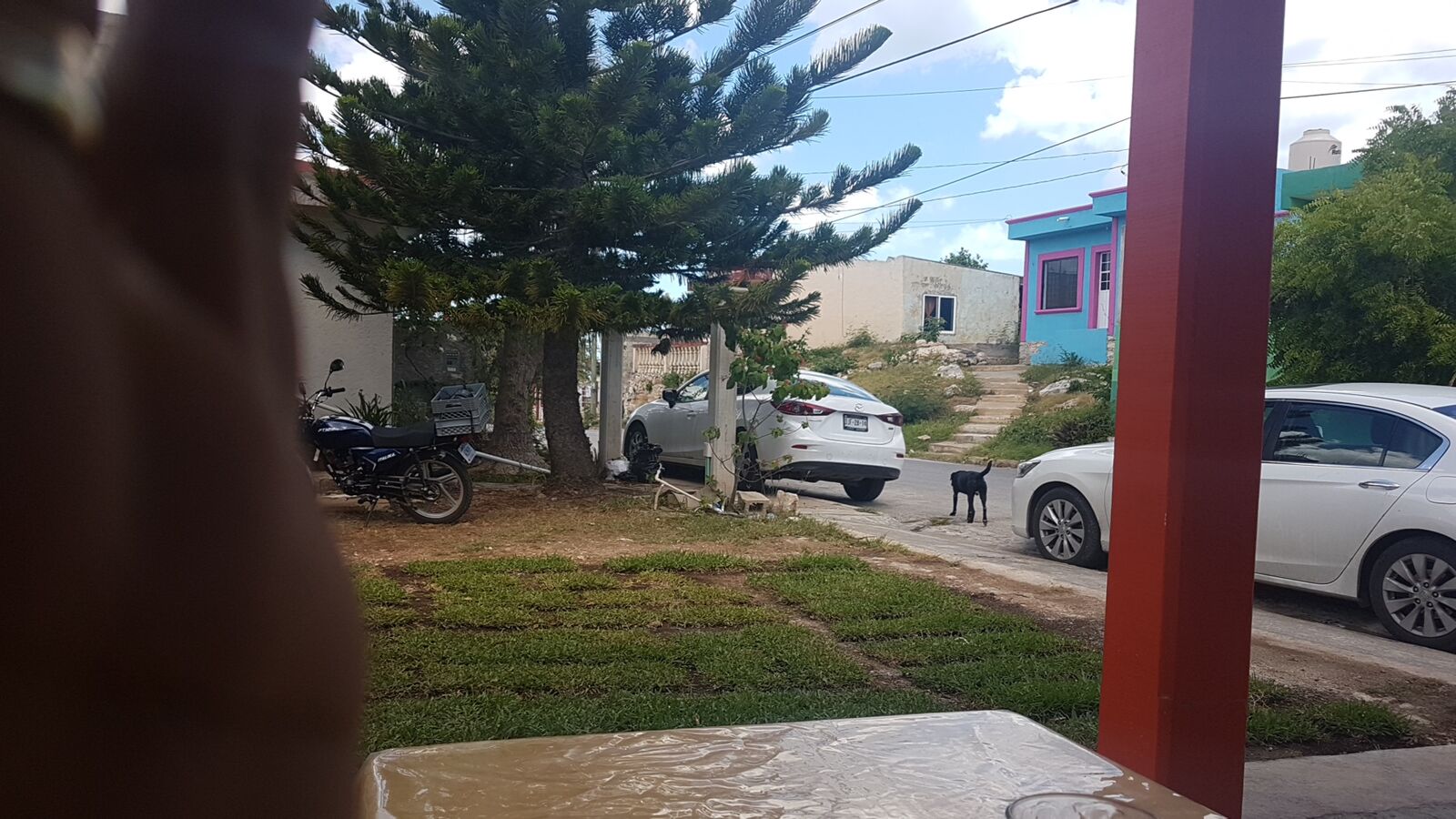 Barbacoa de Borrego "Ricky" image 7