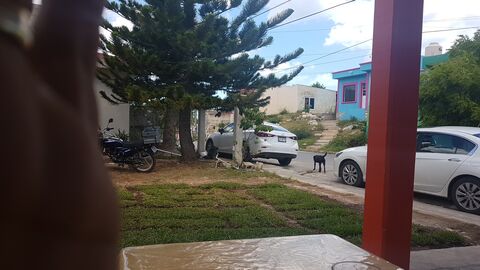 Barbacoa de Borrego "Ricky" image 7