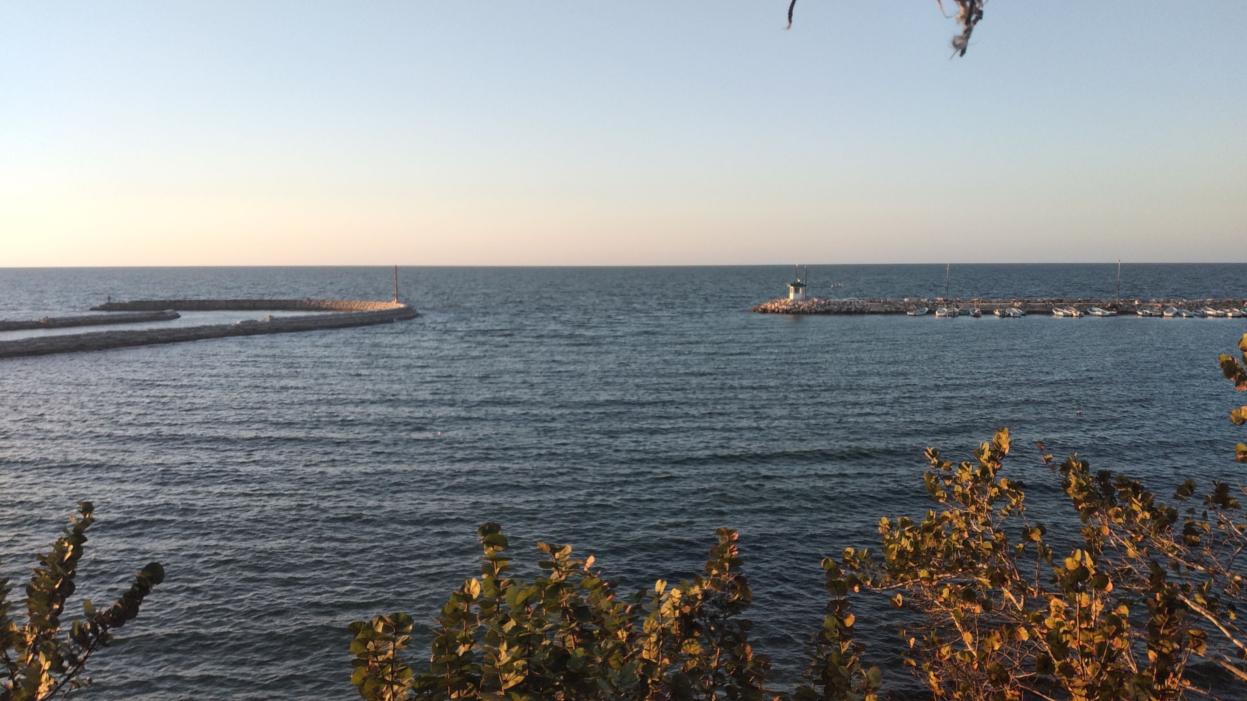 Restaurante Playa Gaviotas image 3