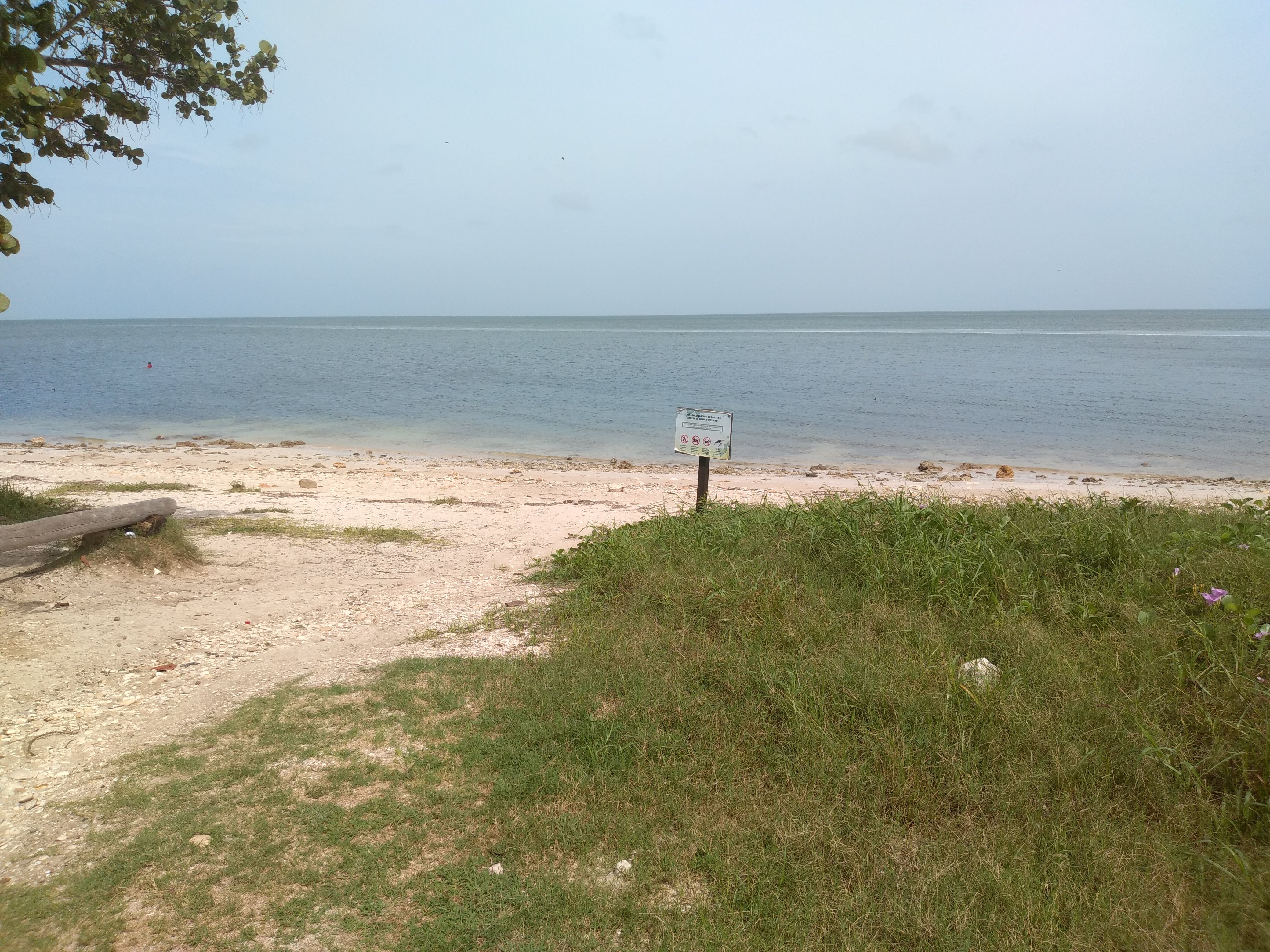 Restaurante Playa Gaviotas image 10