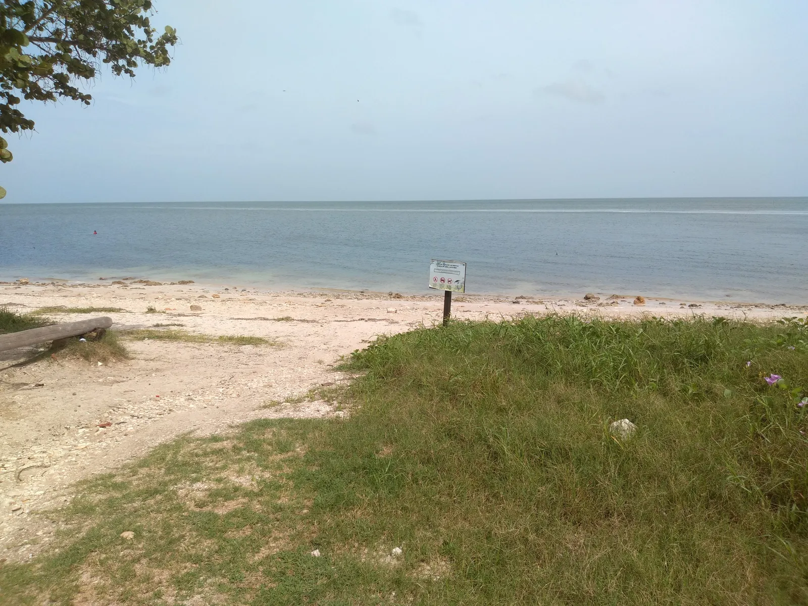 Restaurante Playa Gaviotas image 10