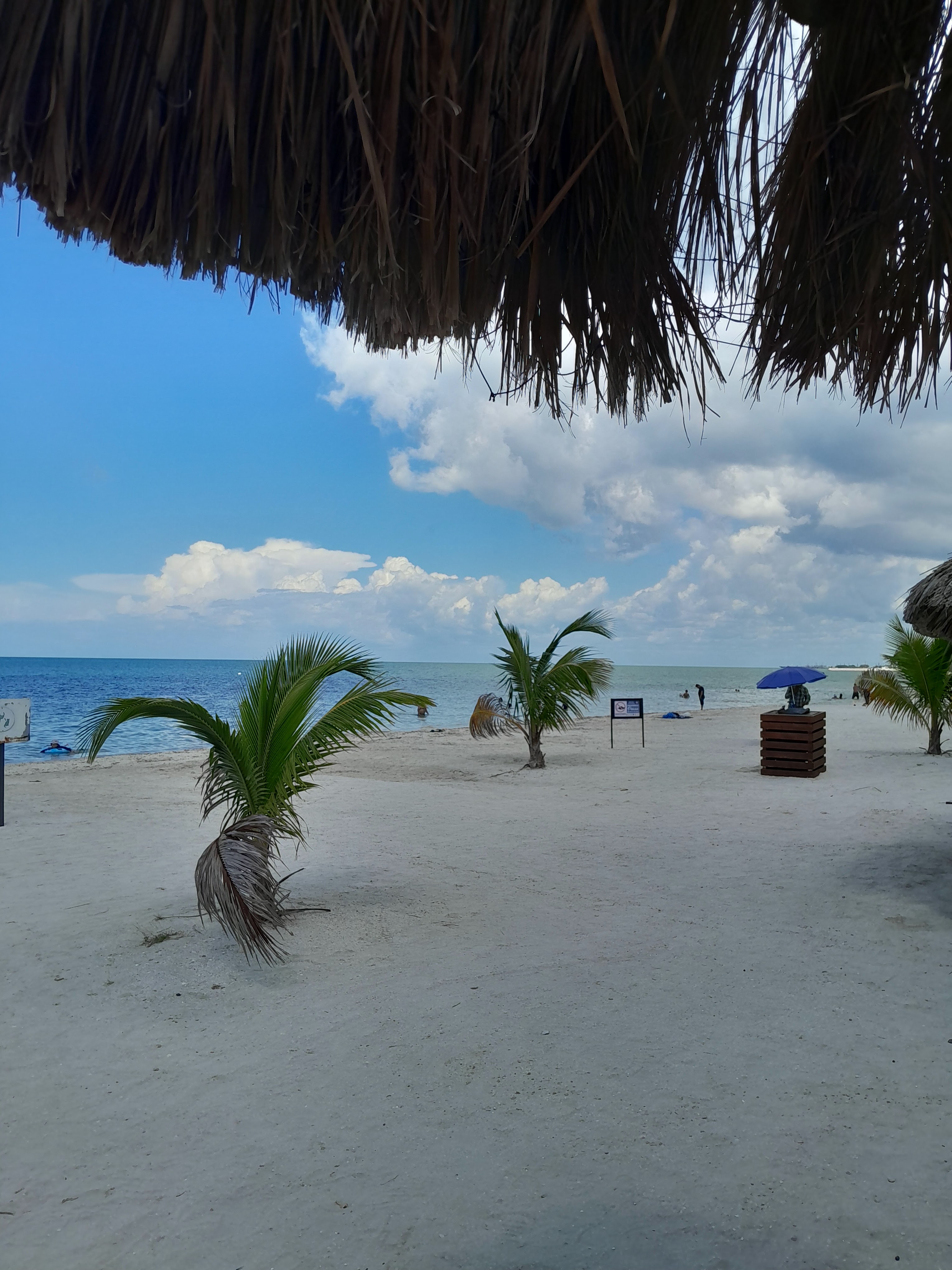 Restaurante CostaMar Playa image 6