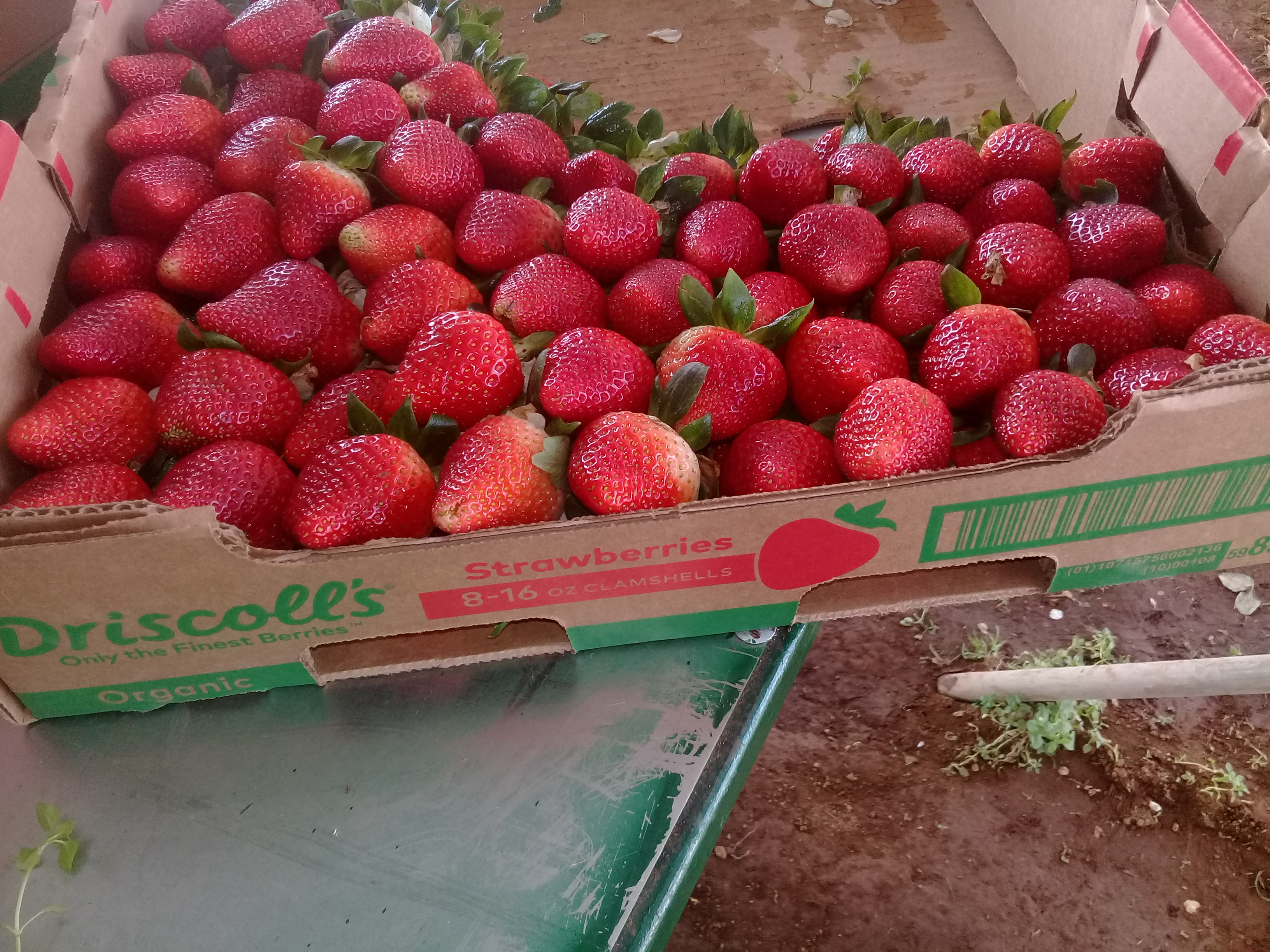 TAQUERÍA LOS CUÑADOS image 1