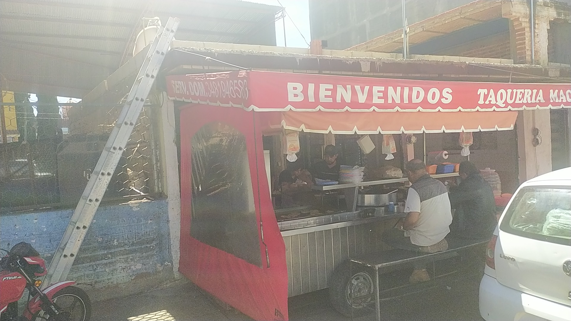 Taquería macetas image 4