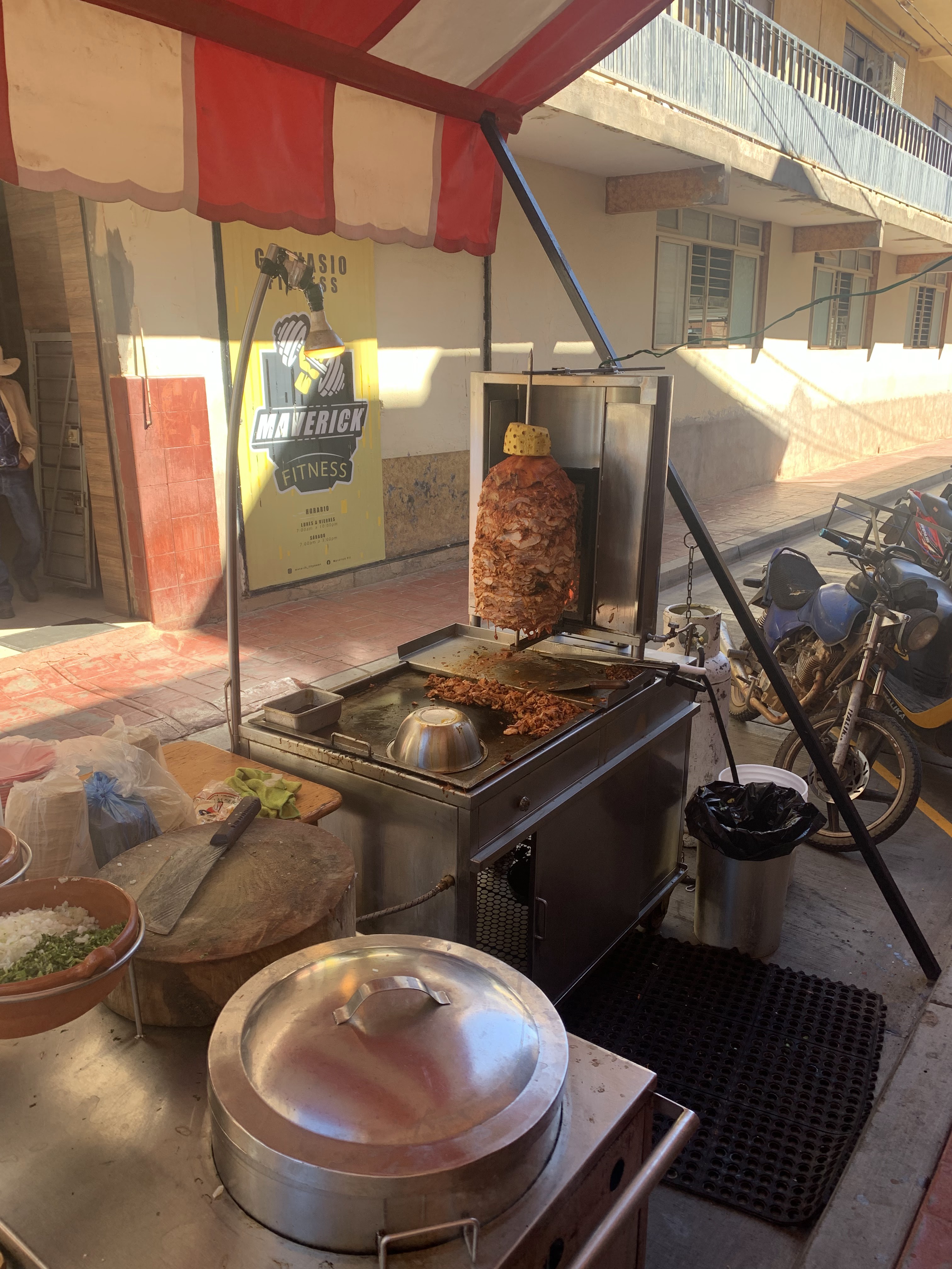 pastor de pollo santos image 1