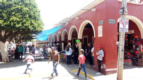 pastor de pollo santos image 5