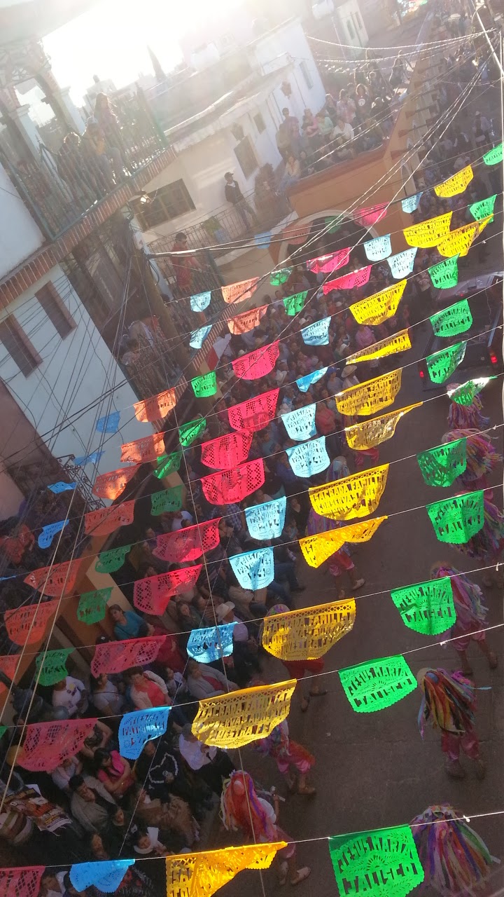 pastor de pollo santos image 8