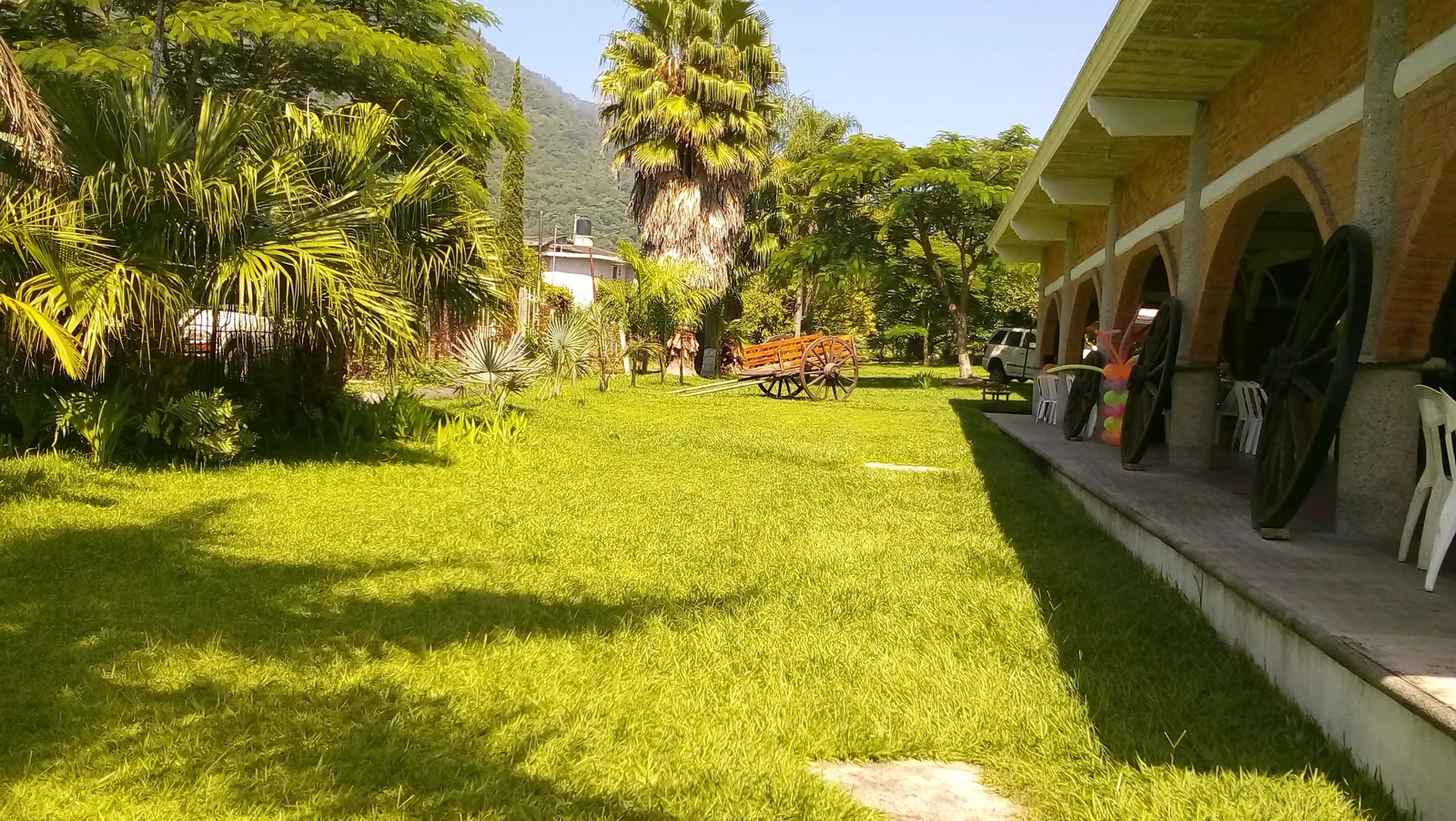 Flores image 2