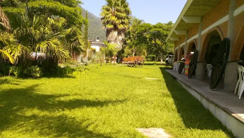 Flores image 2