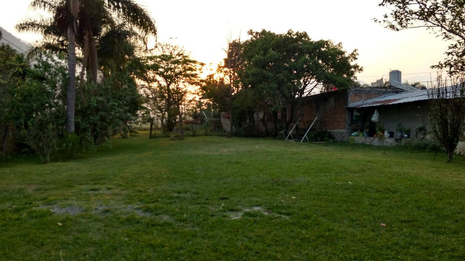 Flores image 5