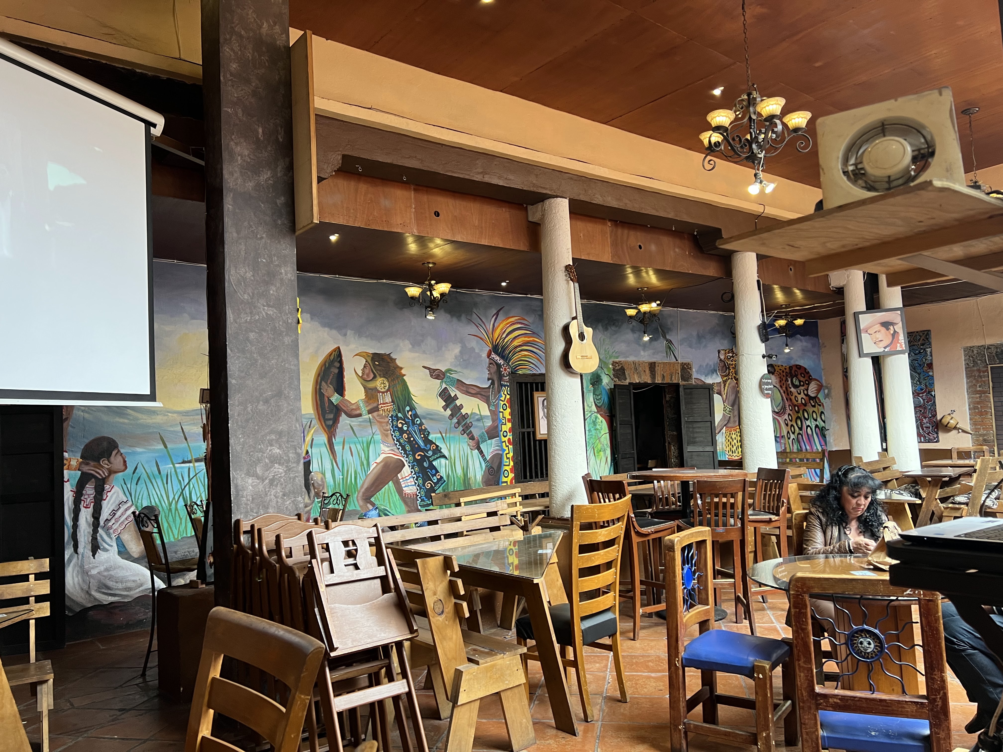 VIVA Mexico Carbones image 4