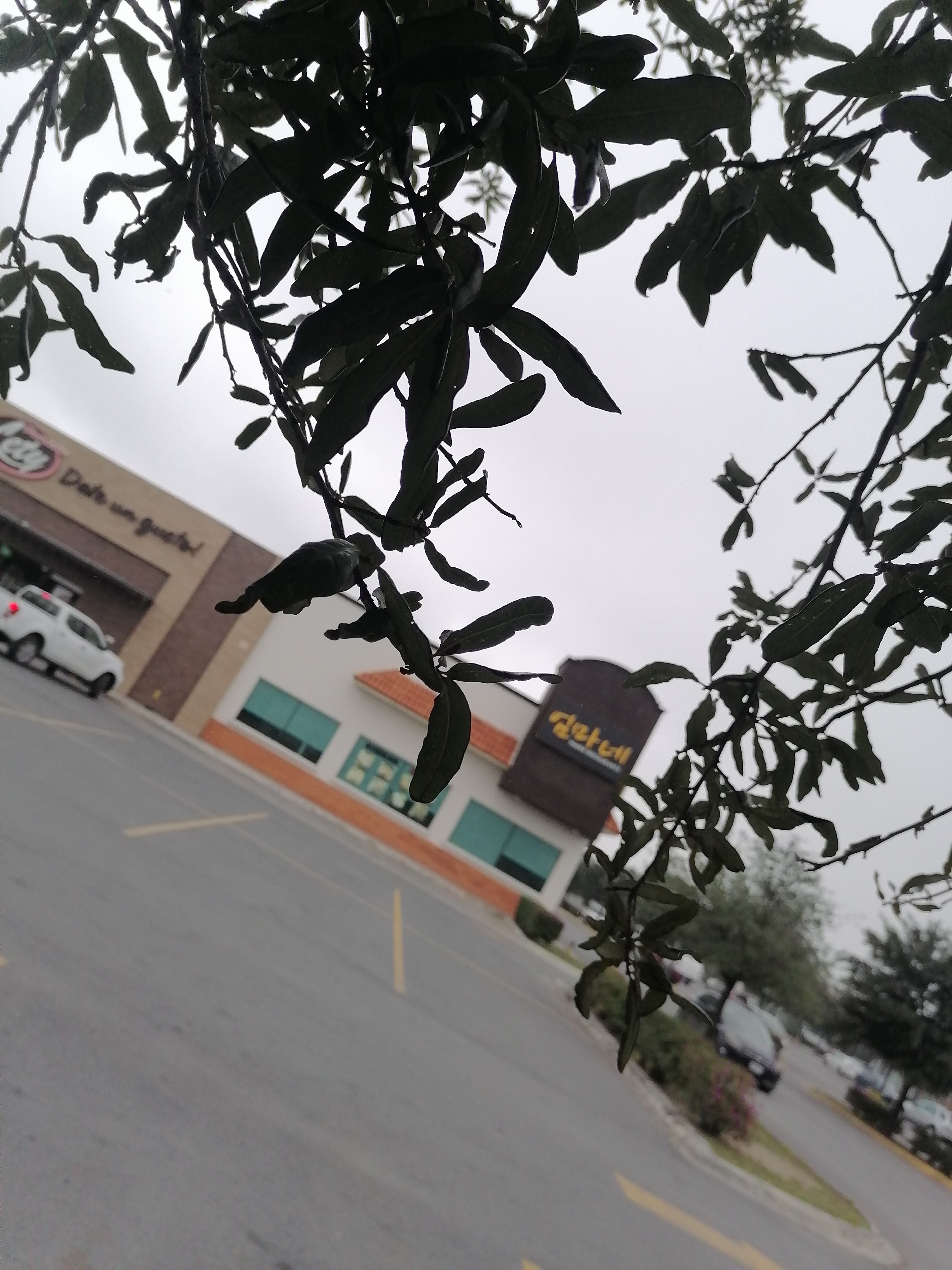 Mama restaurante image 6