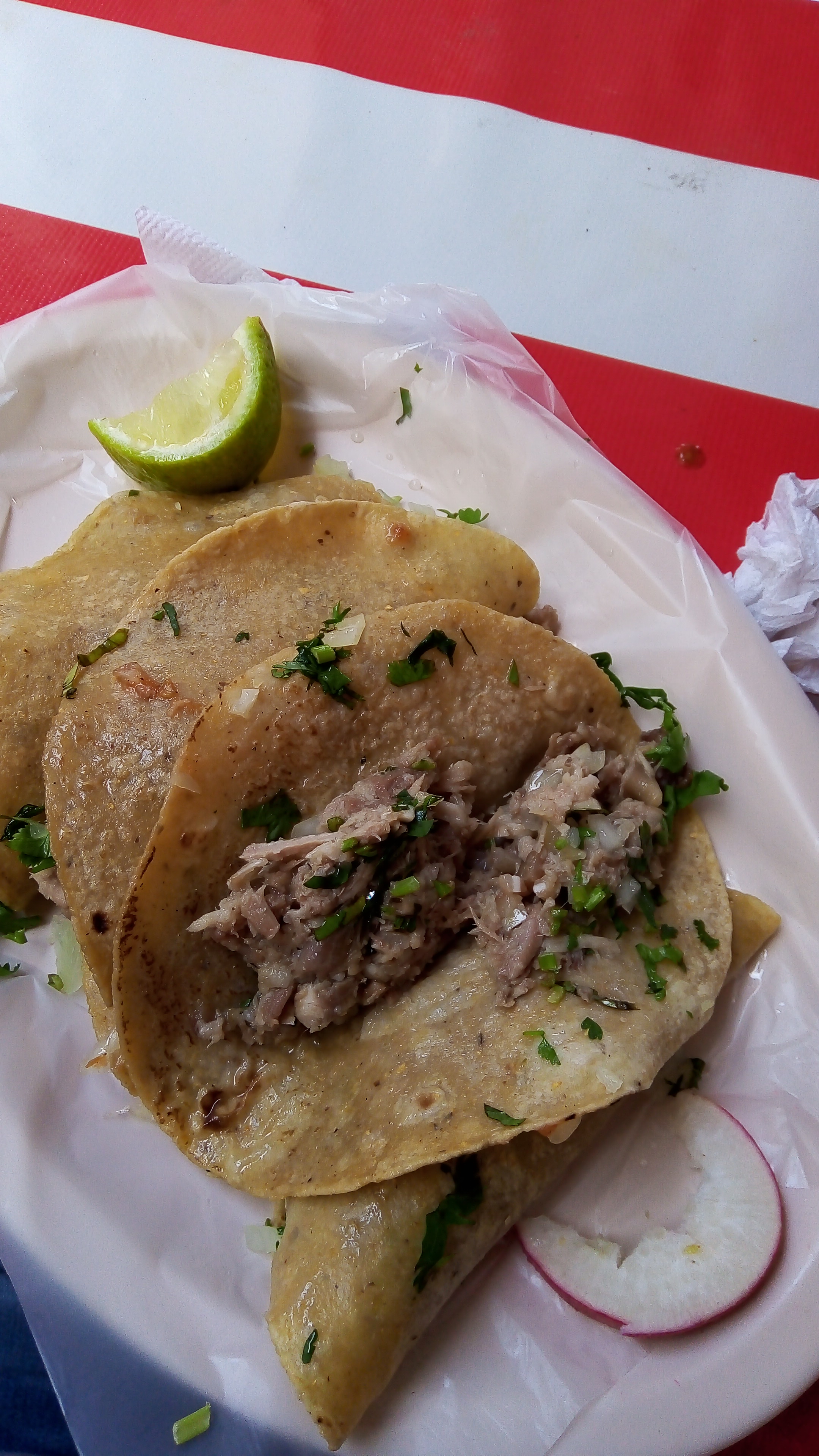 Taqueria Vicky image 1