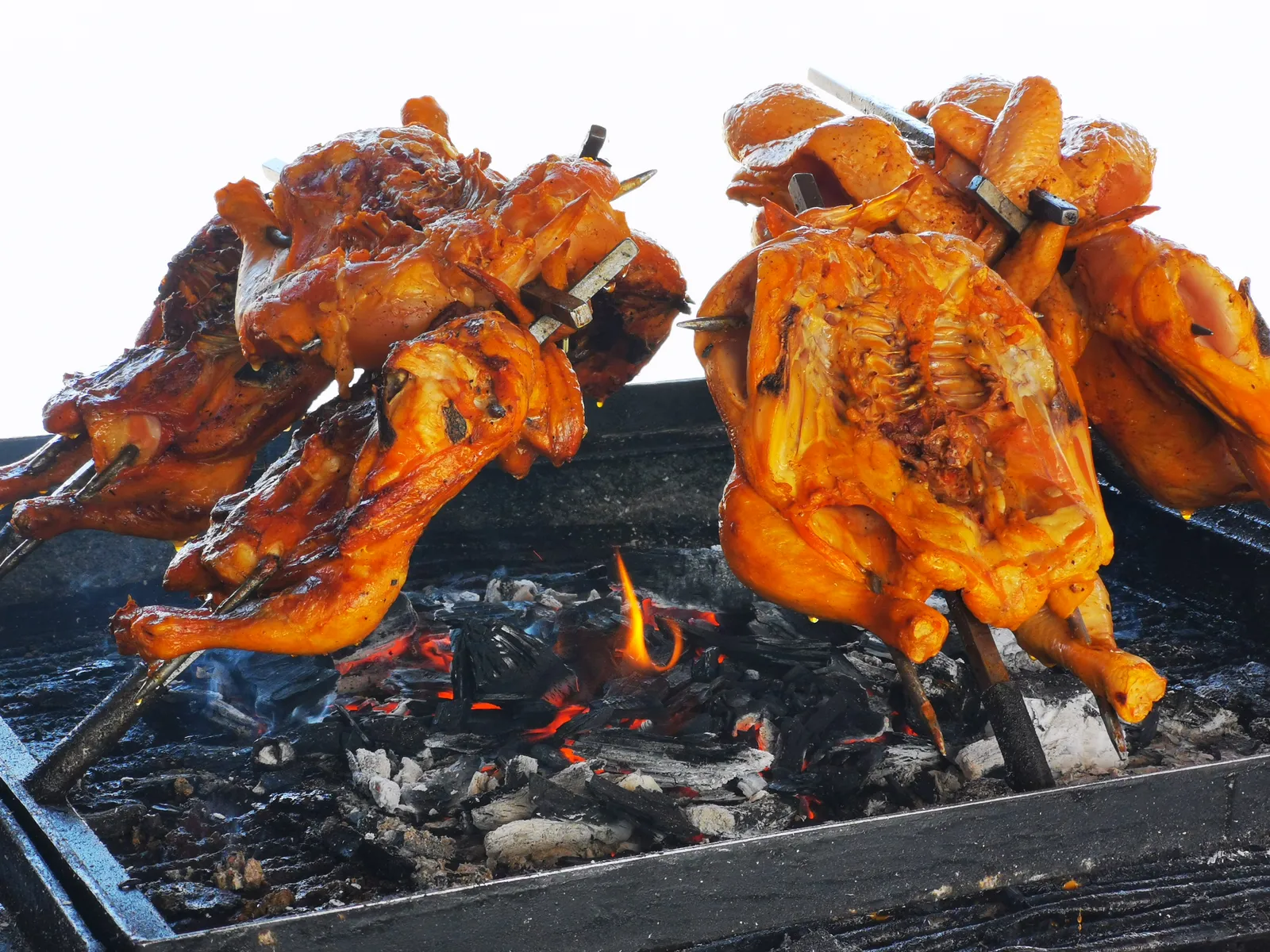 Pollos Asados al Carbón "El Ochoa" image 1