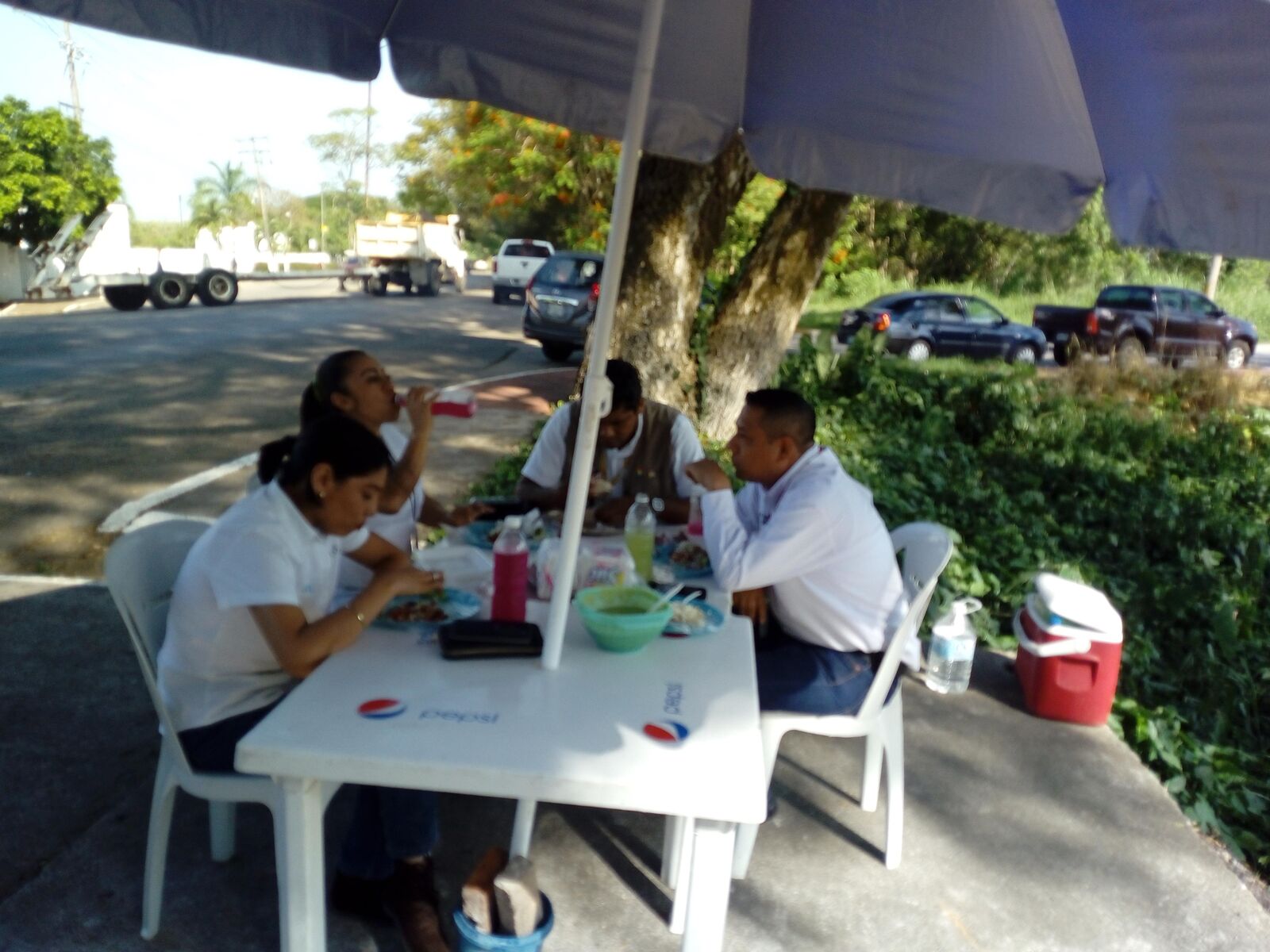 REY DEL TACO image 3