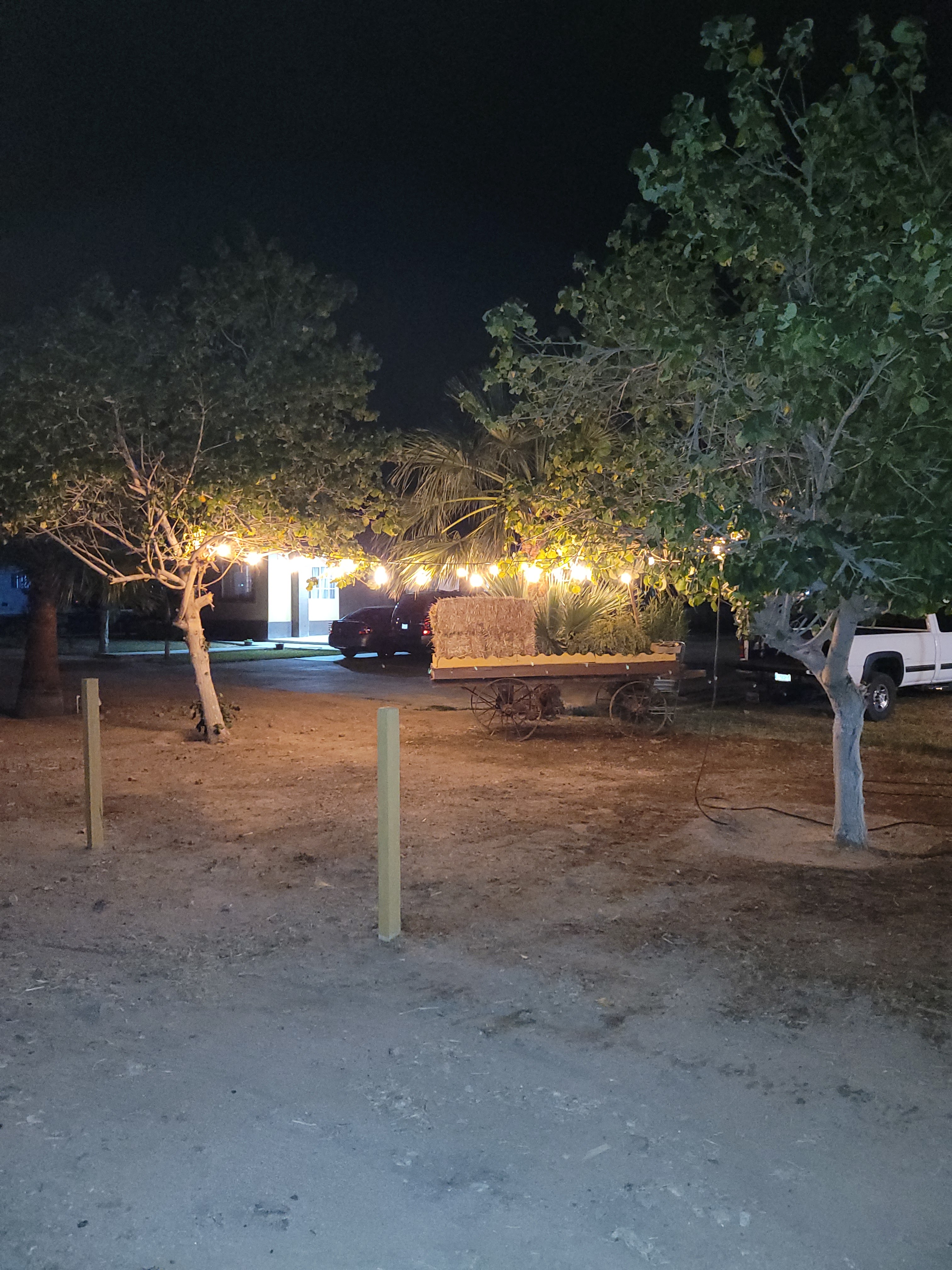 Dliz Cafeteria image 4