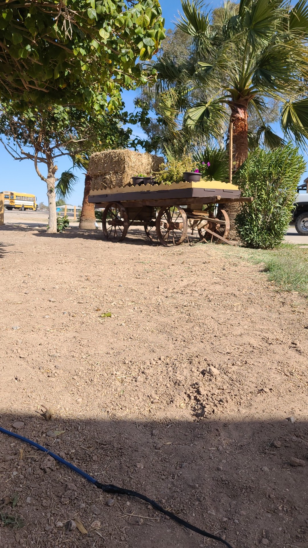 Dliz Cafeteria image 8