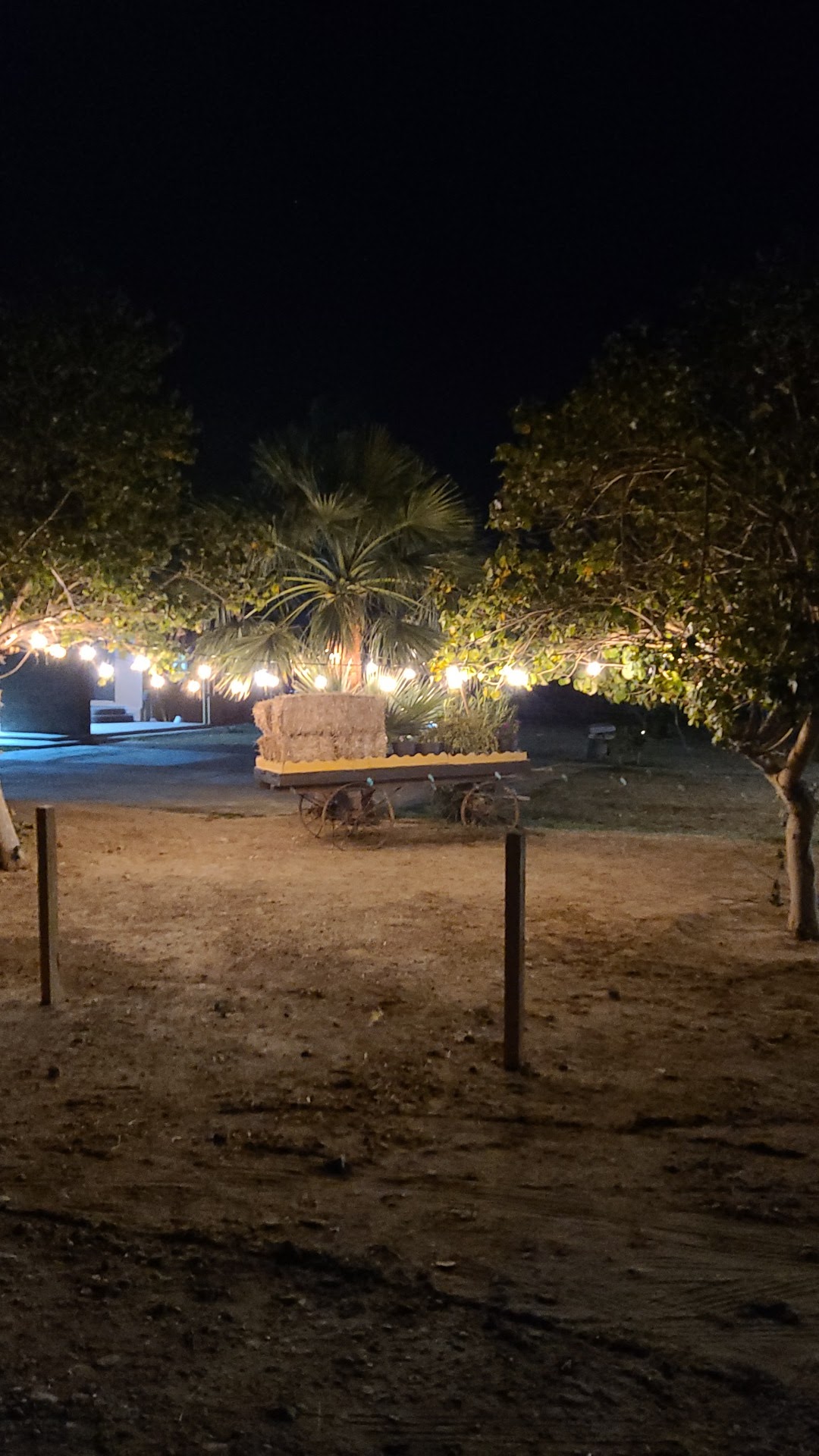 Dliz Cafeteria image 9