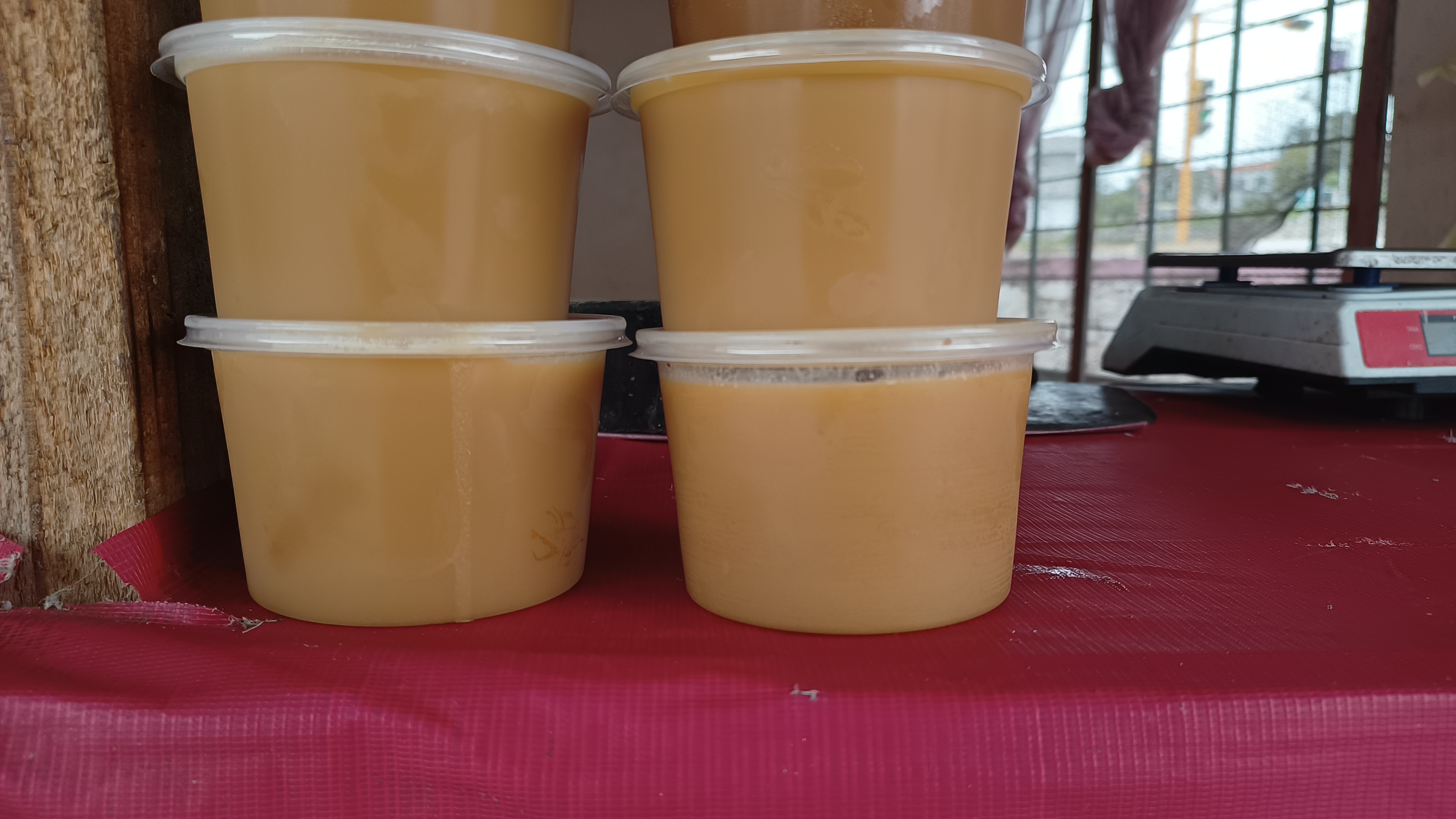 Los Chachitos image 6