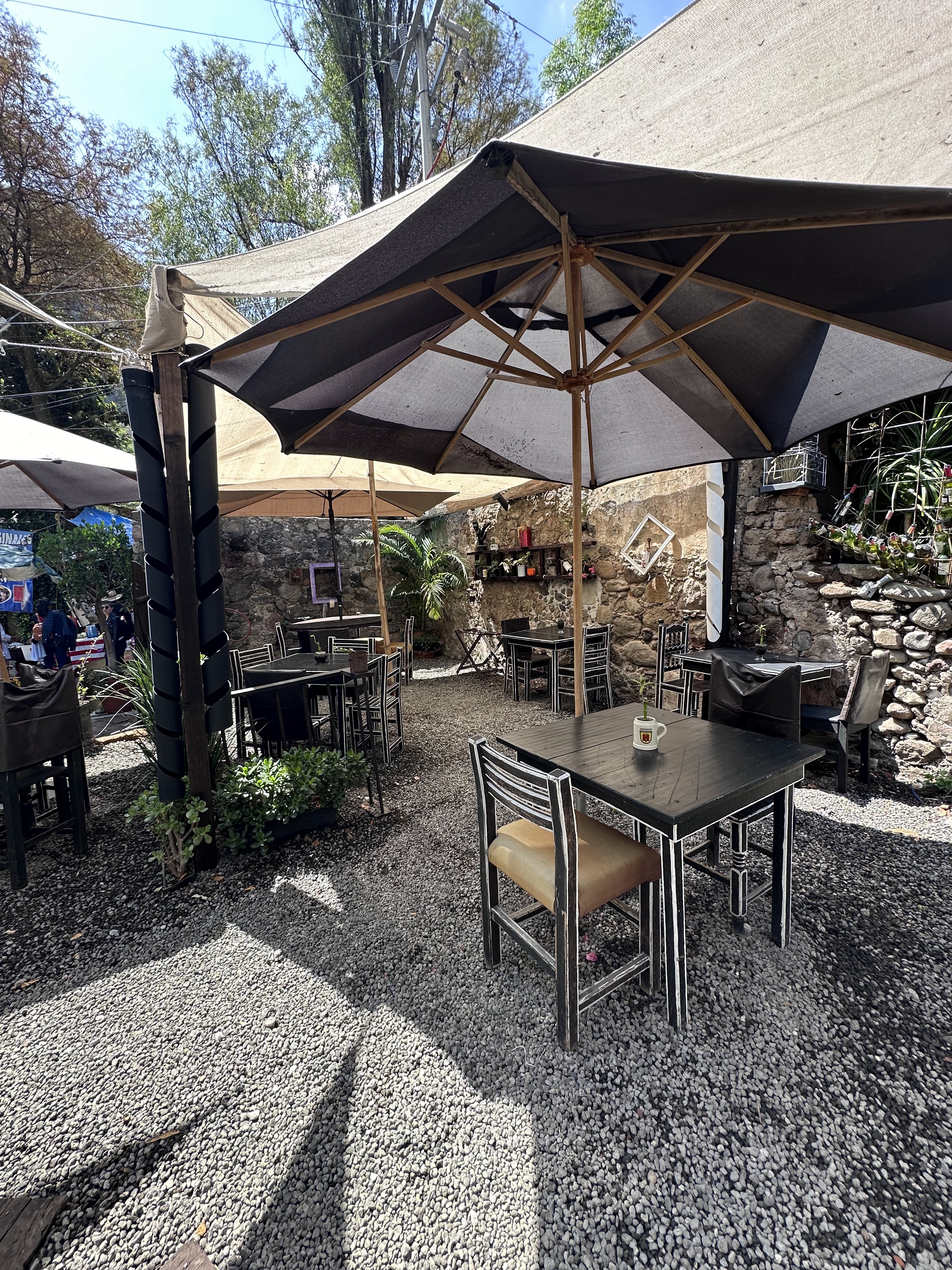 tierra negra image 1