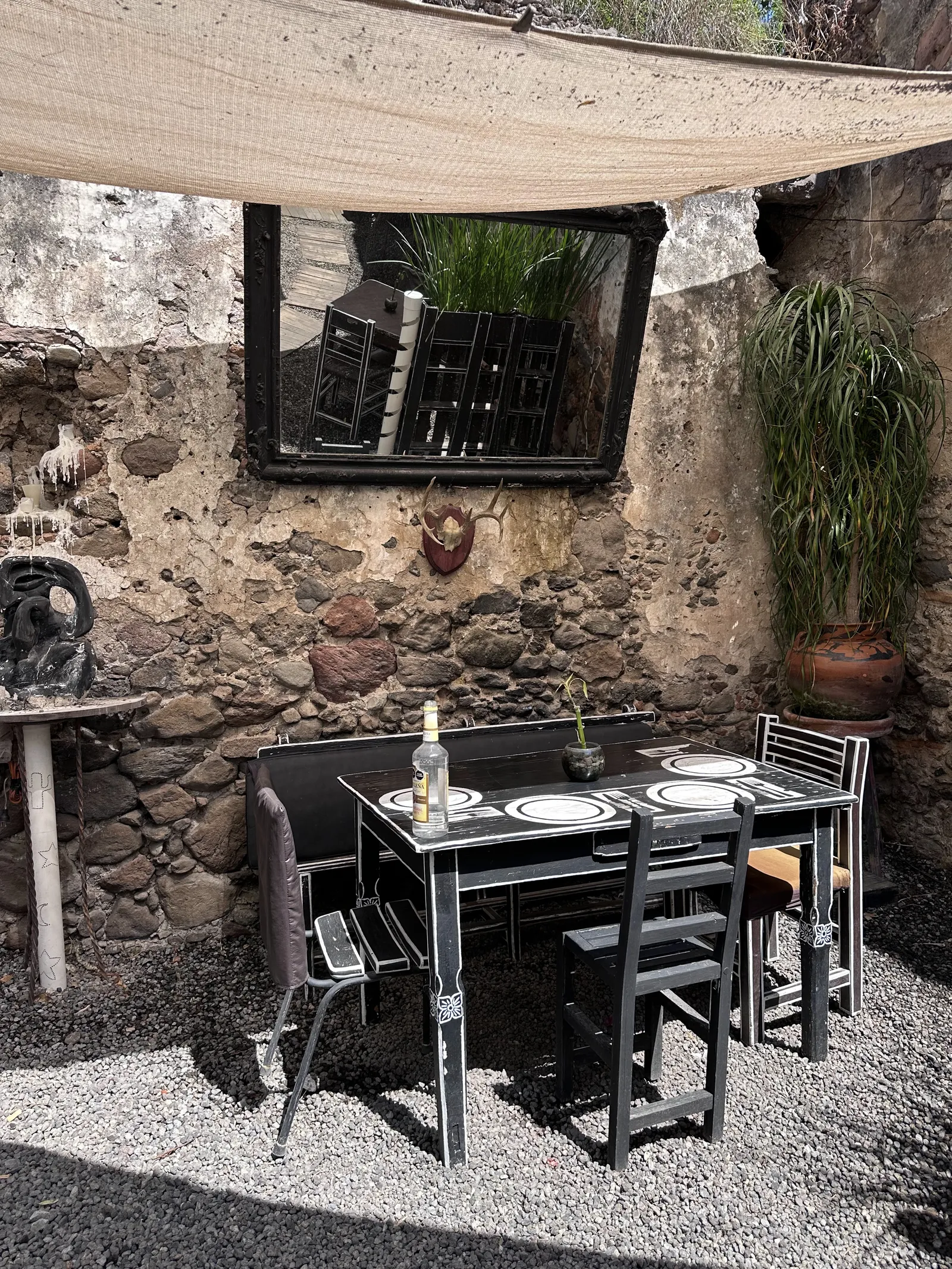 tierra negra image 7