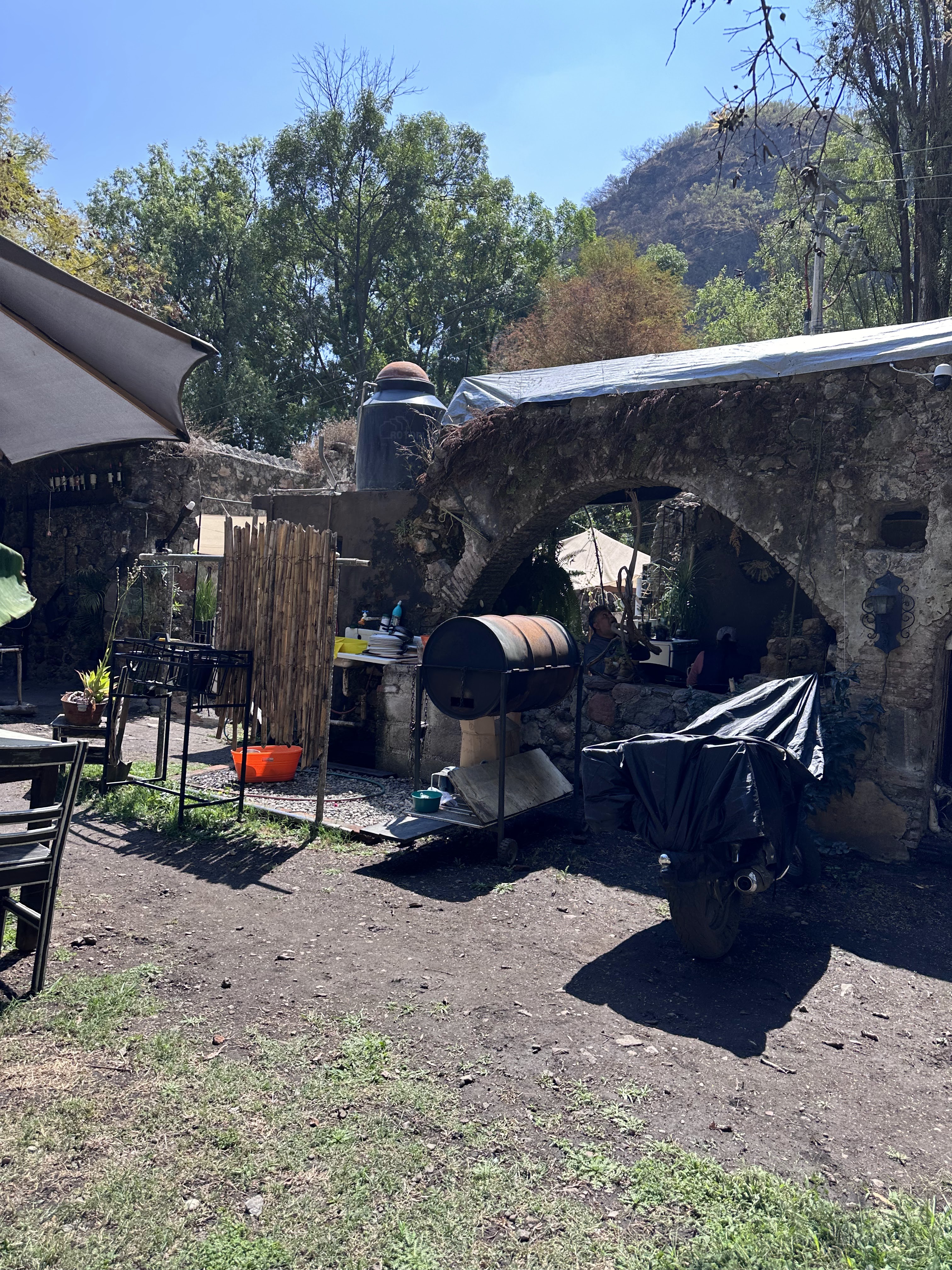 tierra negra image 8