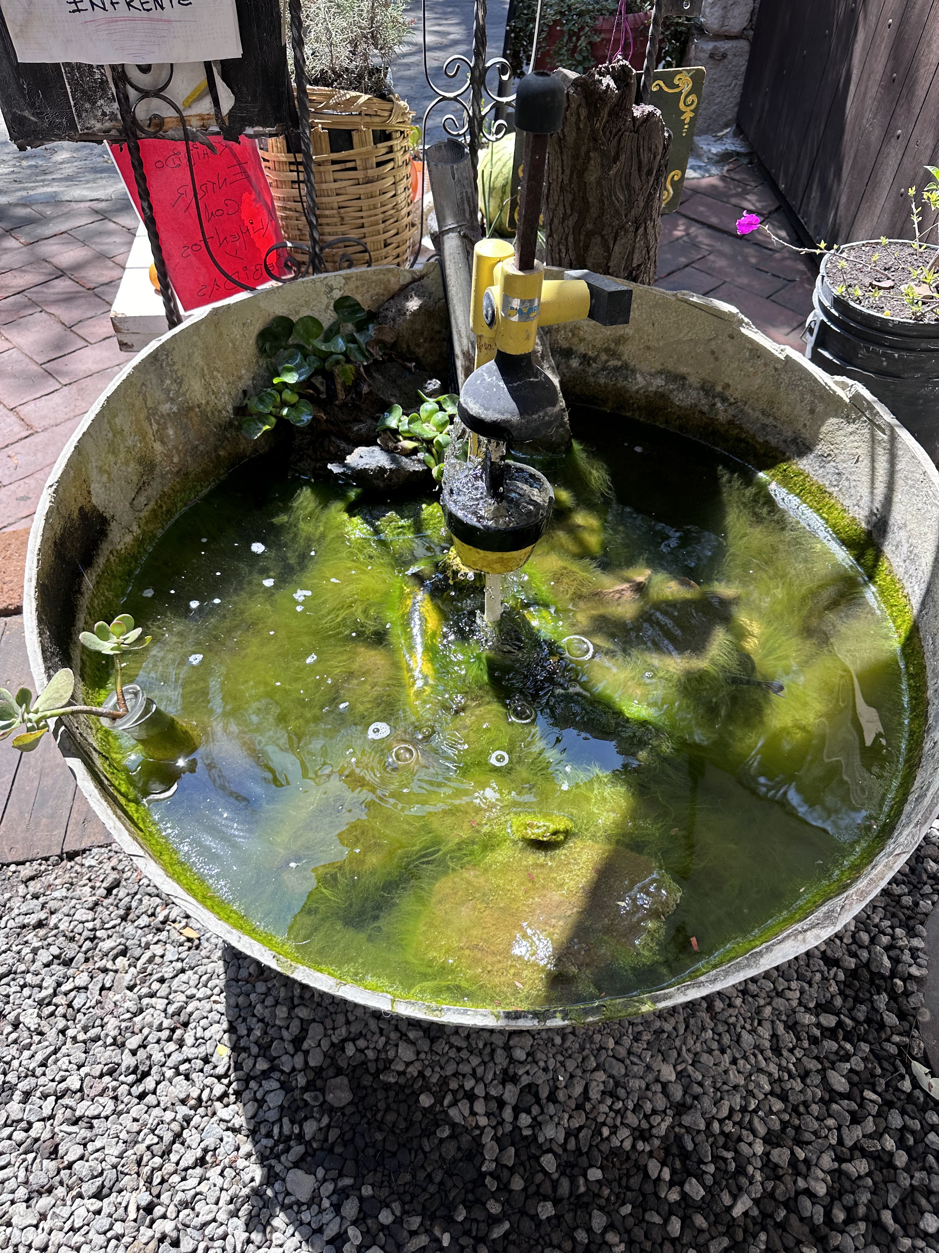 tierra negra image 10