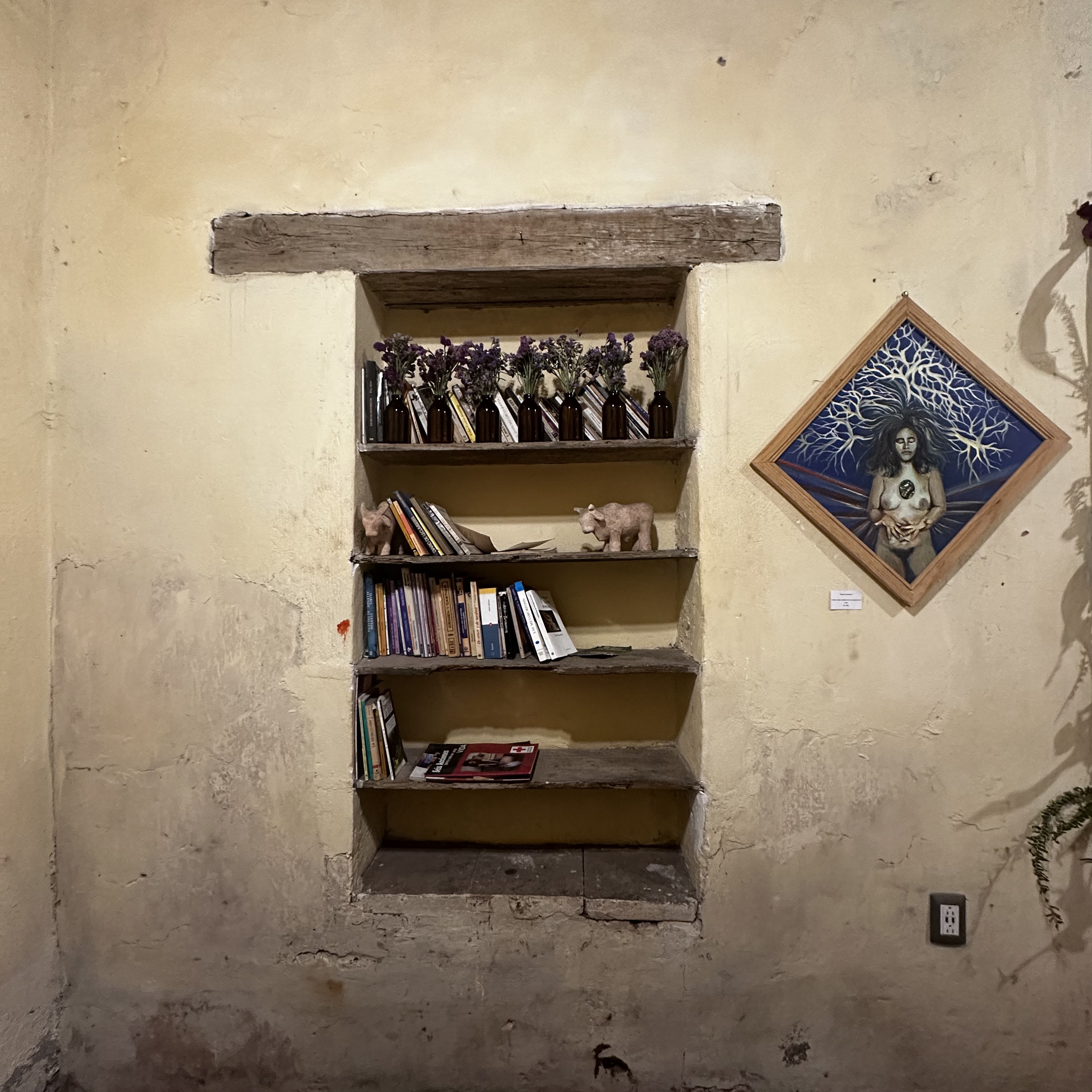 La Barra 501 image 8