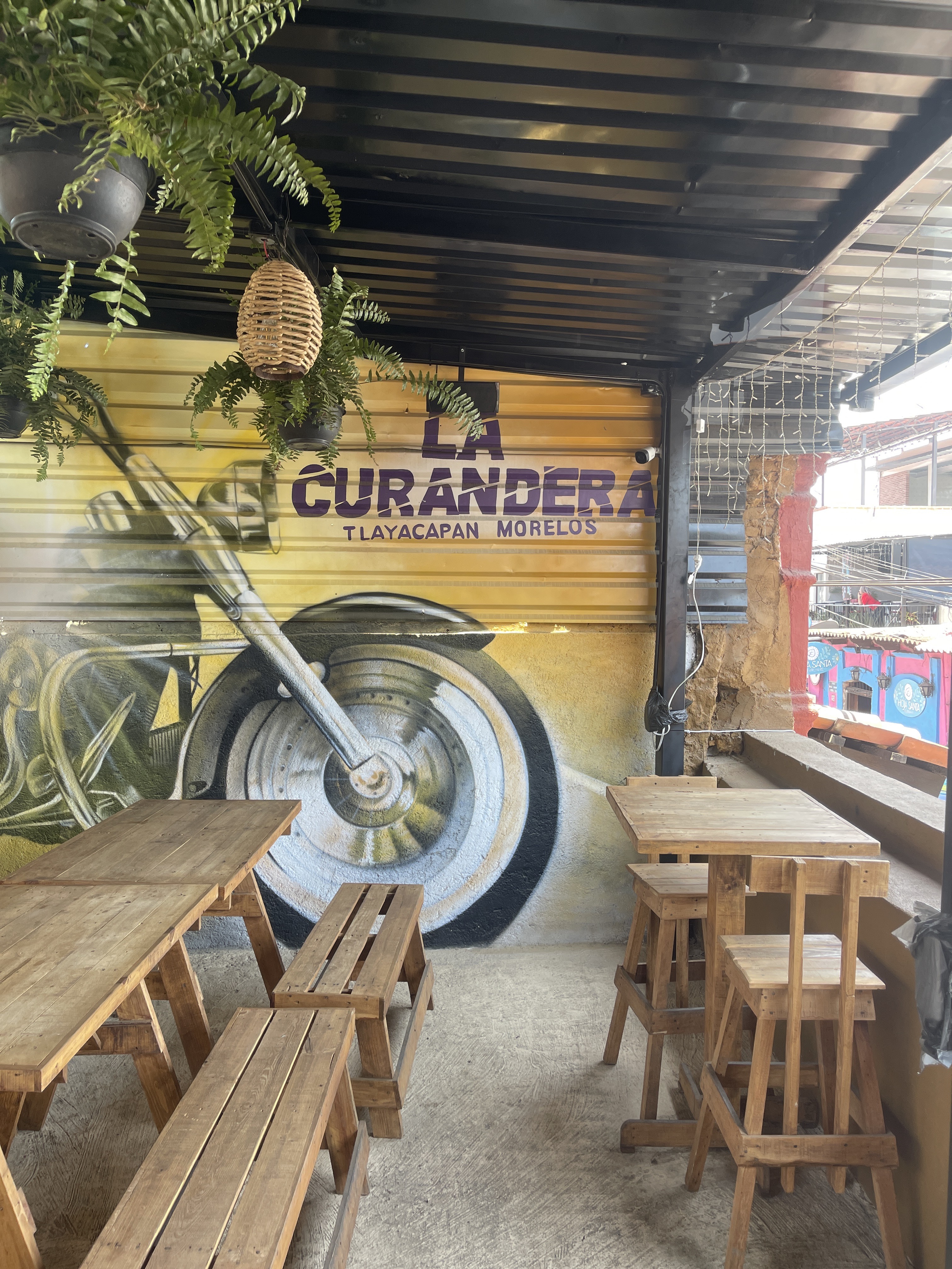 LA CURANDERA image 1