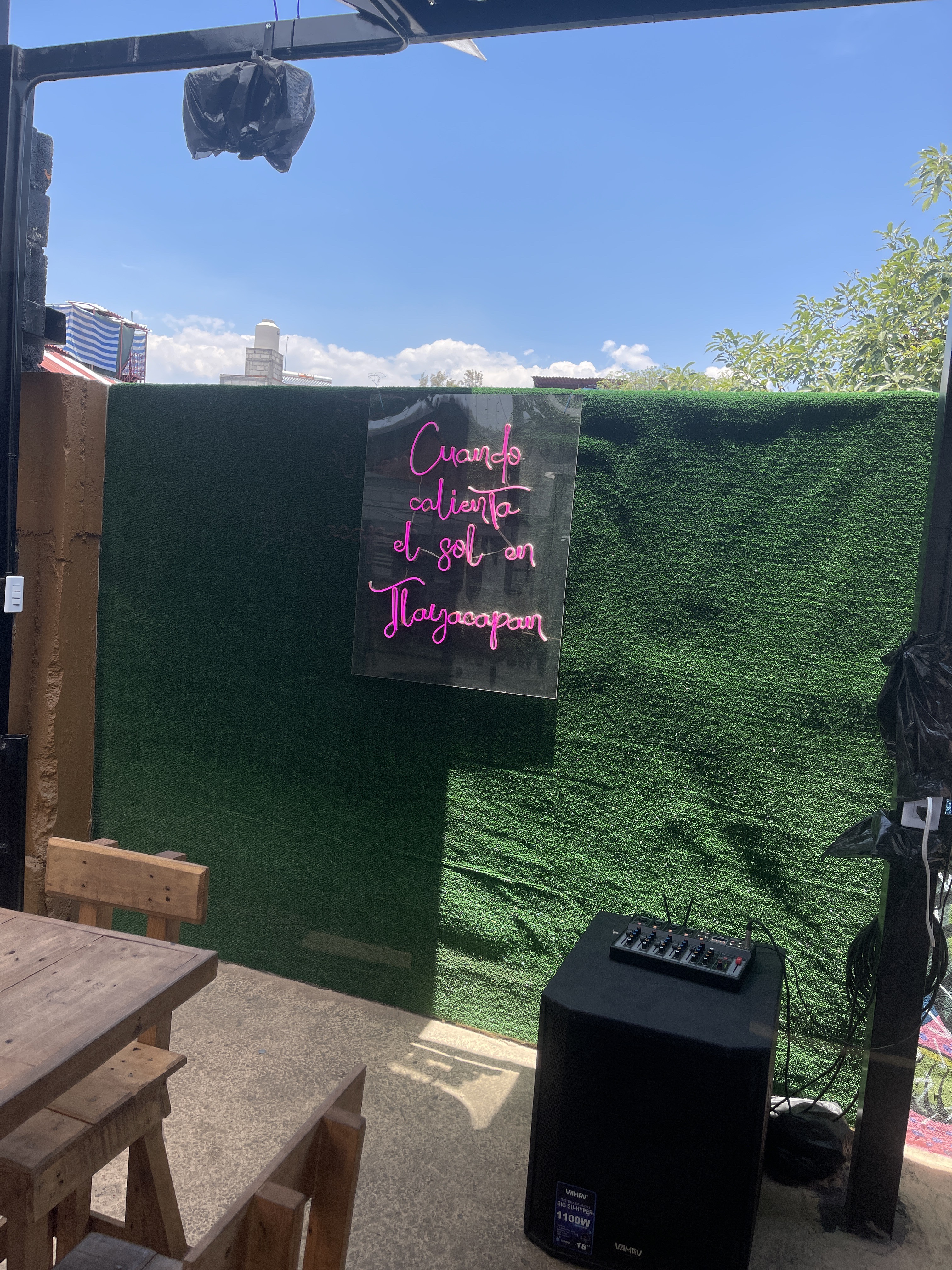 LA CURANDERA image 8