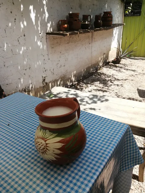 Pulques Xolotl Tlayacapan image 5