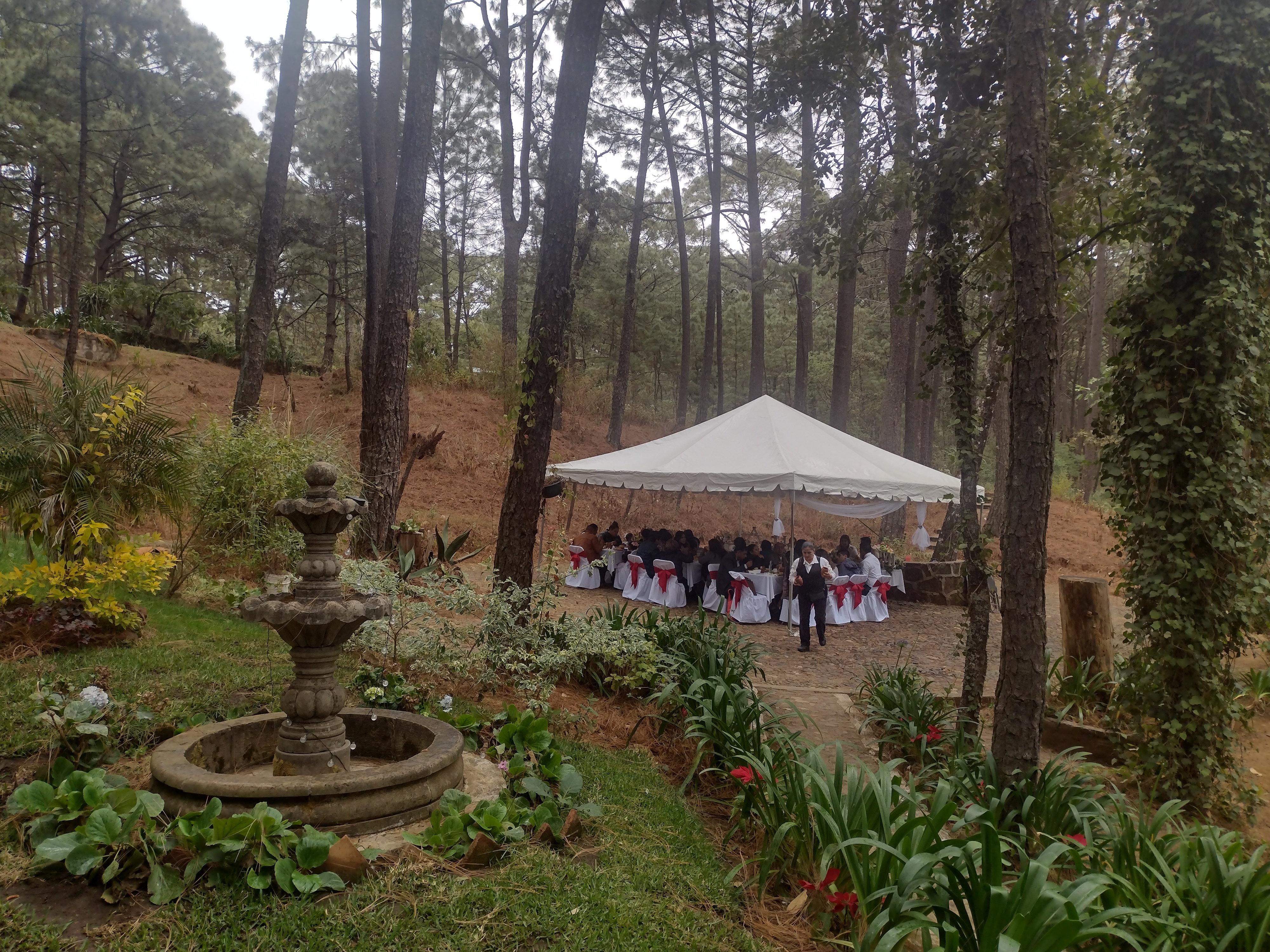 La Cocina De La Abuela image 4