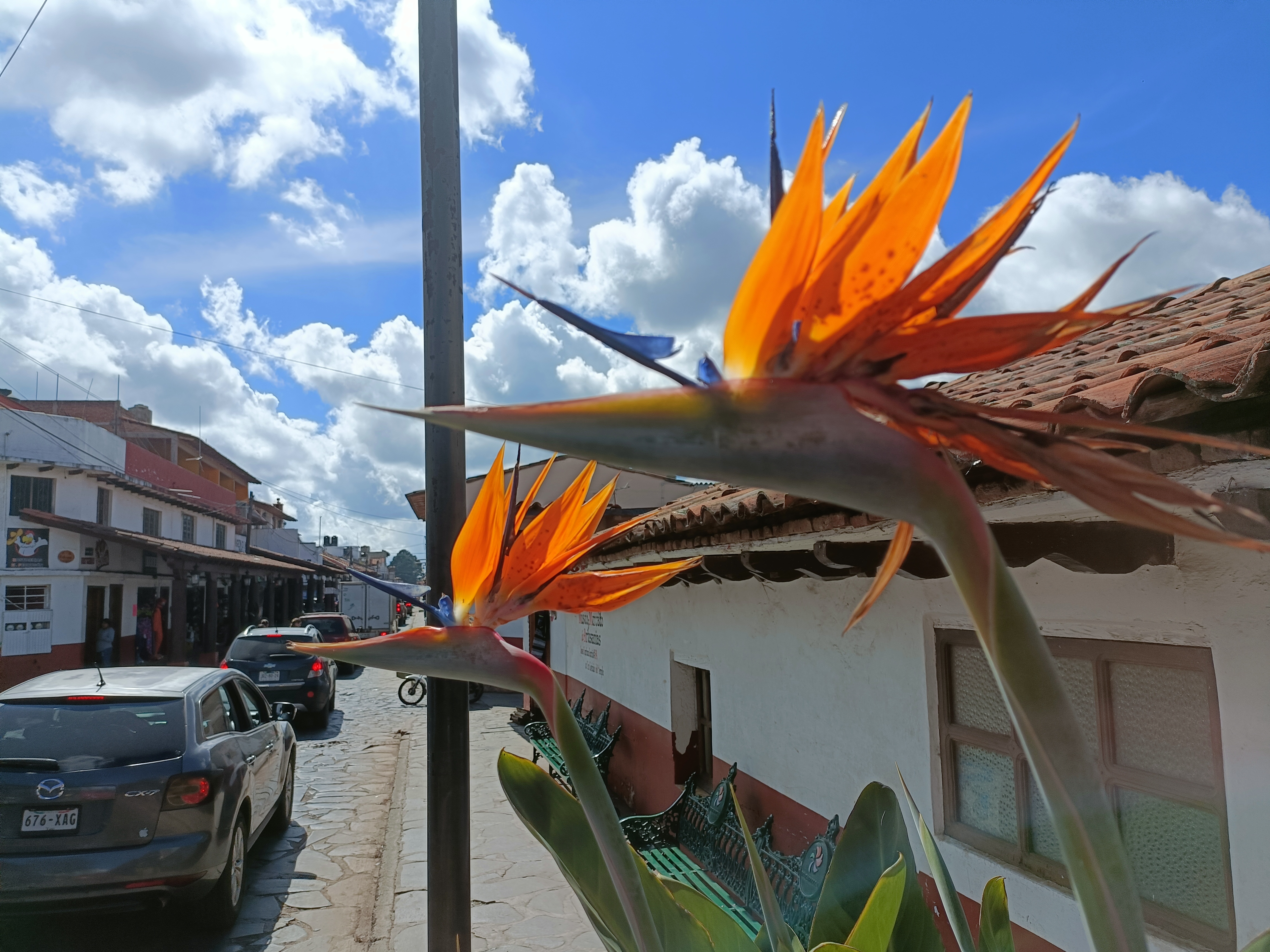 Jessy Pizza Restaurant image 6