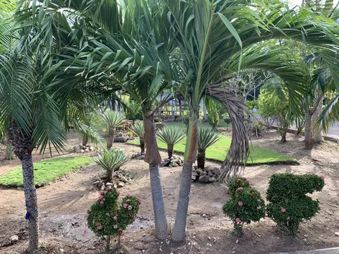 La birrieria image 3