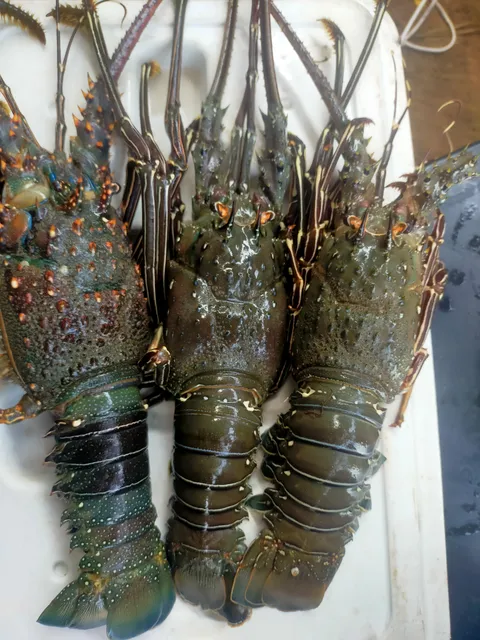 Marisquería " los pepe's". image 6