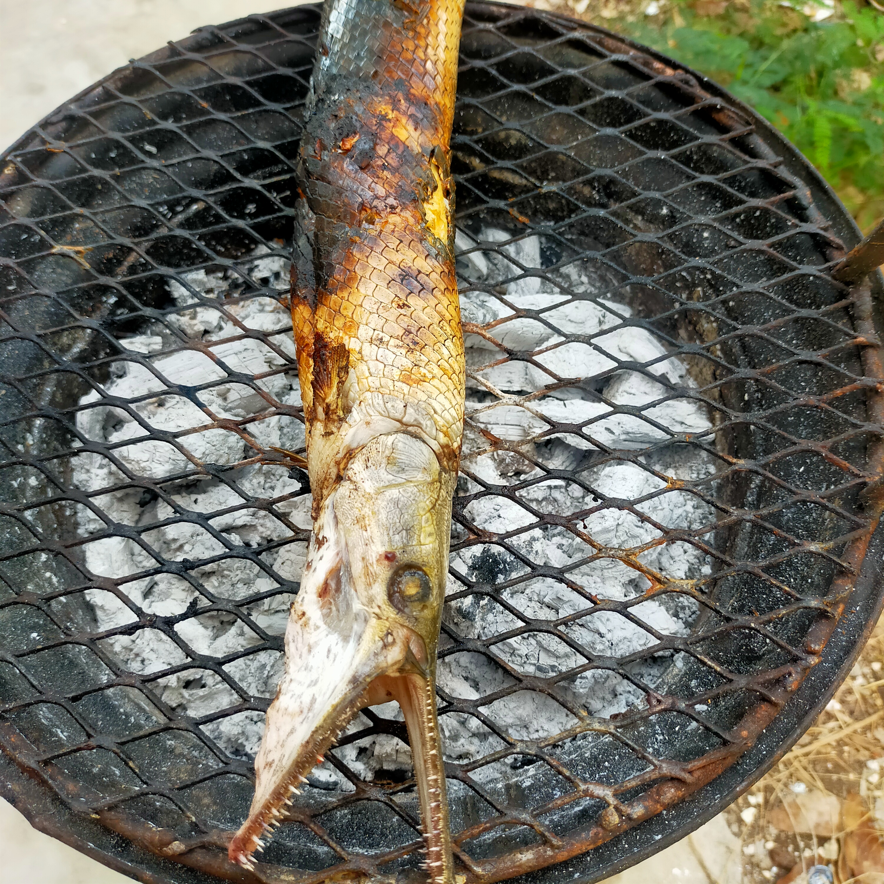 Marisquería " los pepe's". image 9