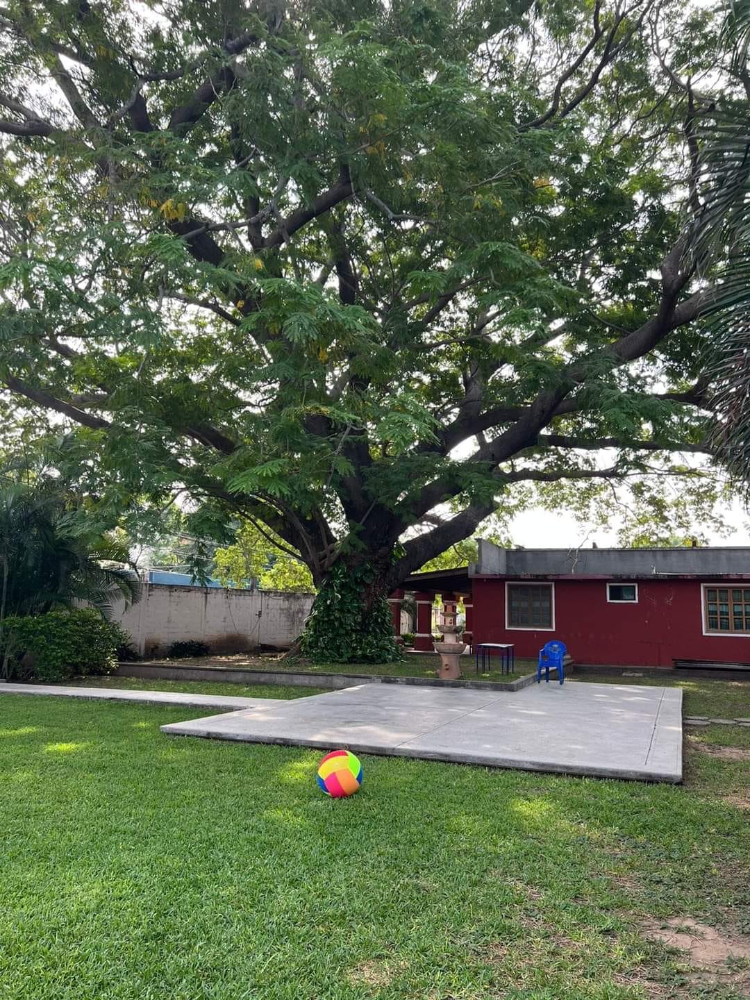 Bacáanda Botanero Familiar image 10