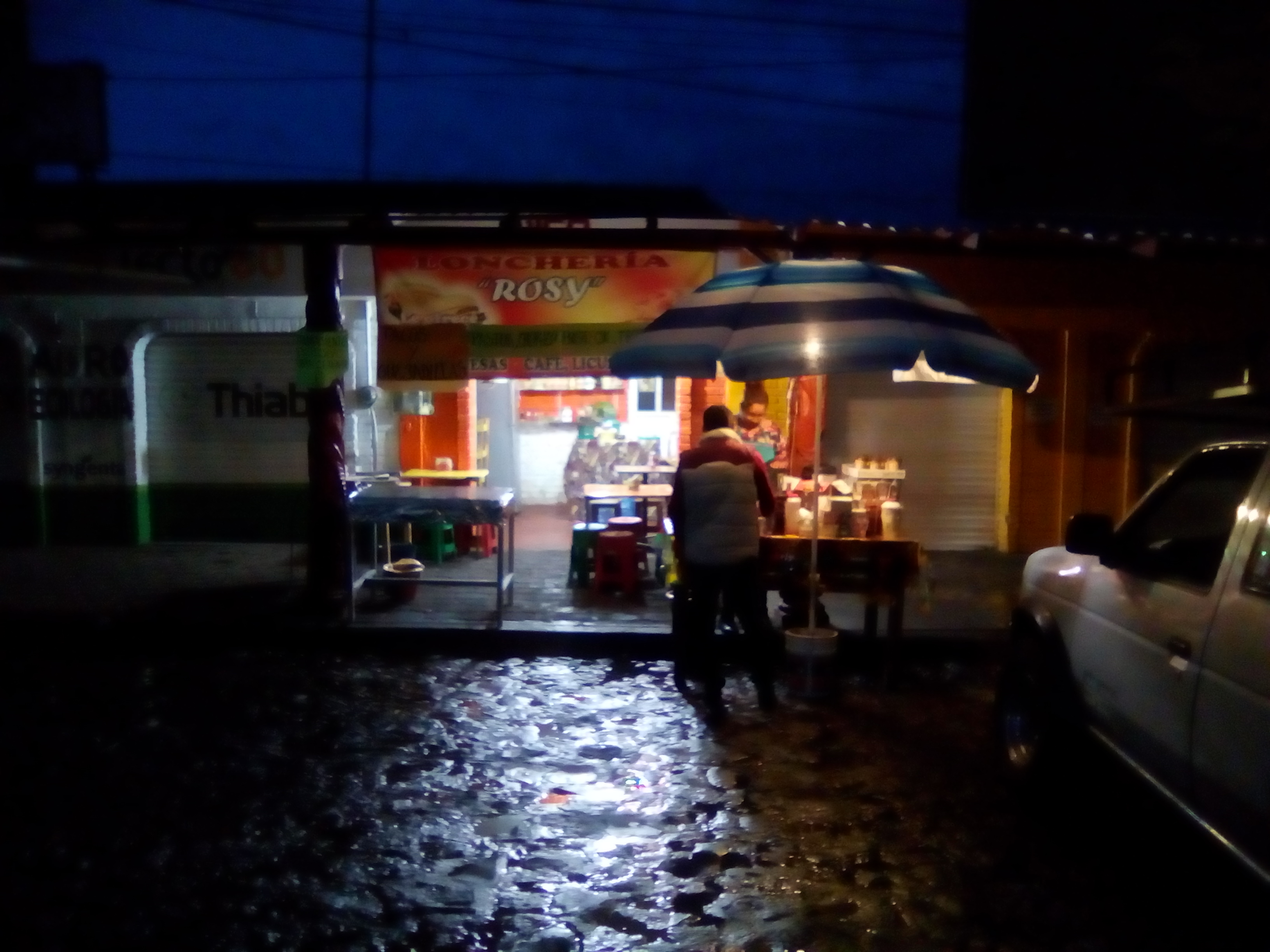 Loncheria Rosy image 6