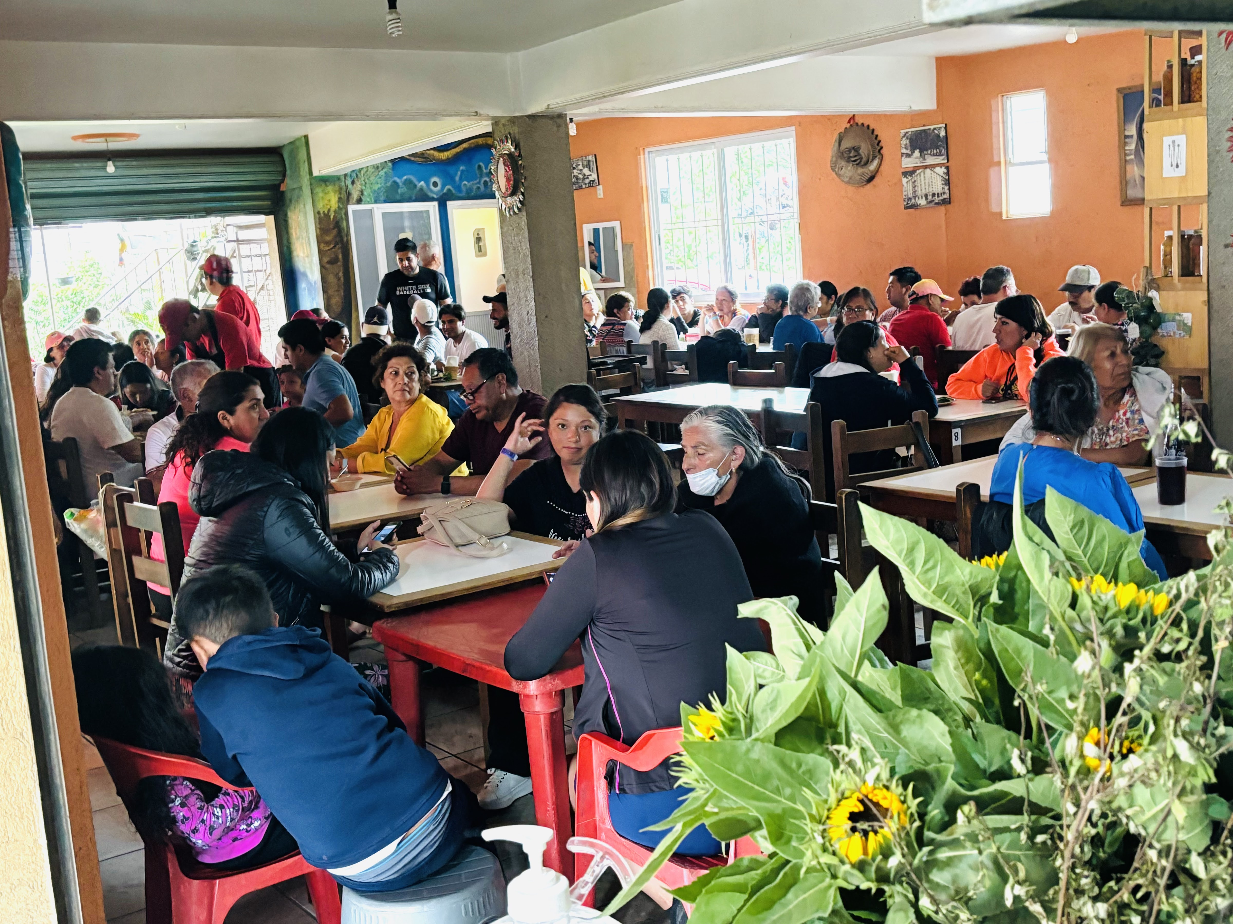 Tlayudas La Espiga Oaxaqueña image 8