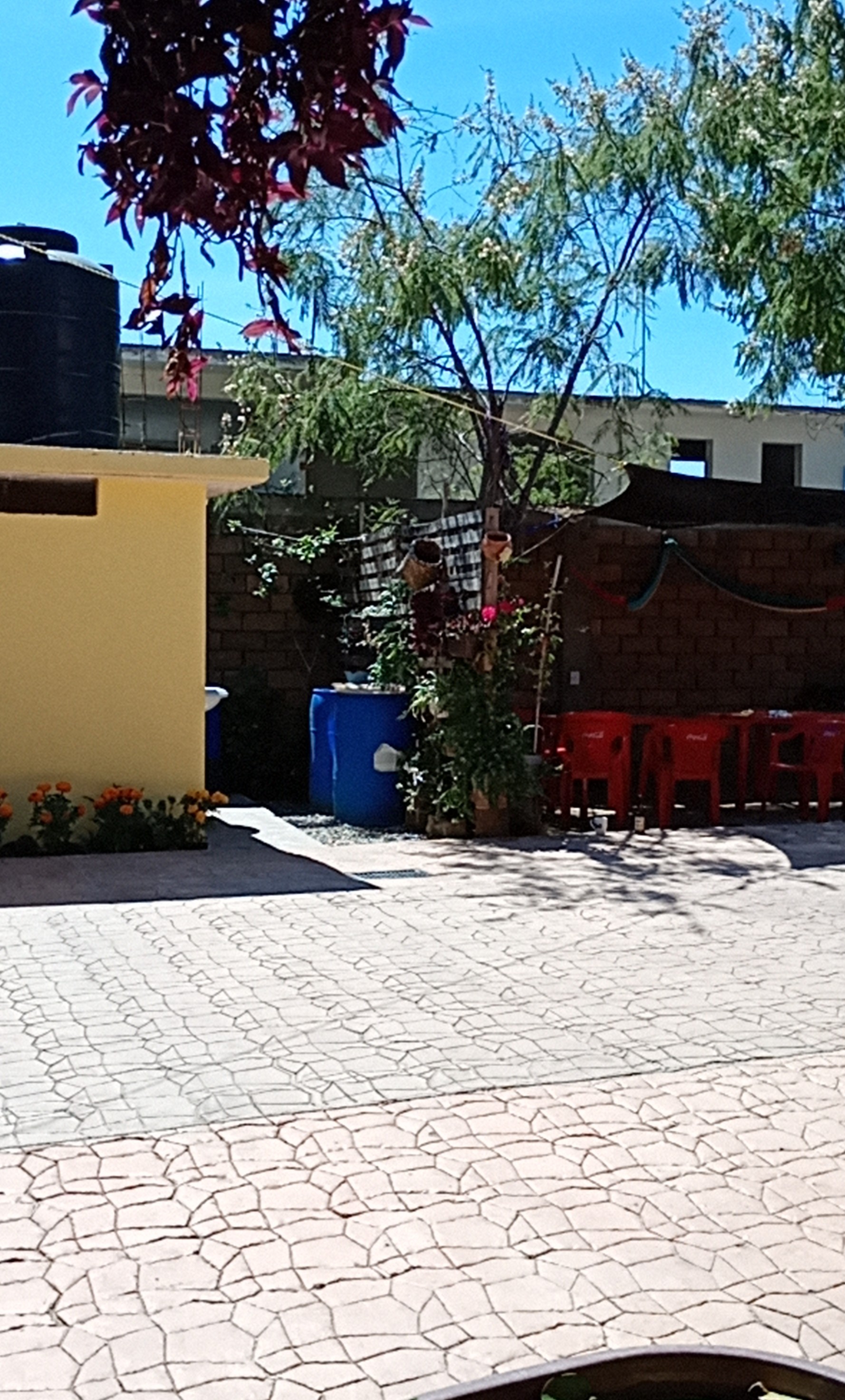 Comedor Villa Juquilita image 7