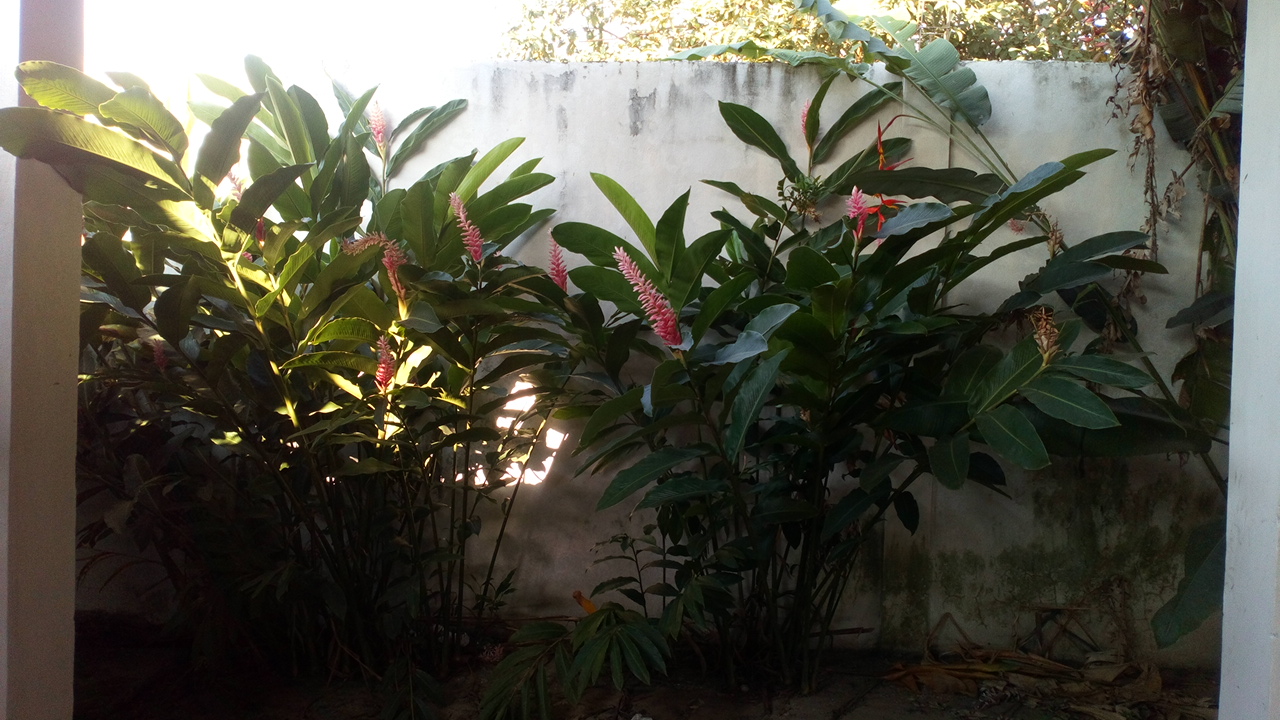 Quinta Soledad. Eventos Sociales image 2