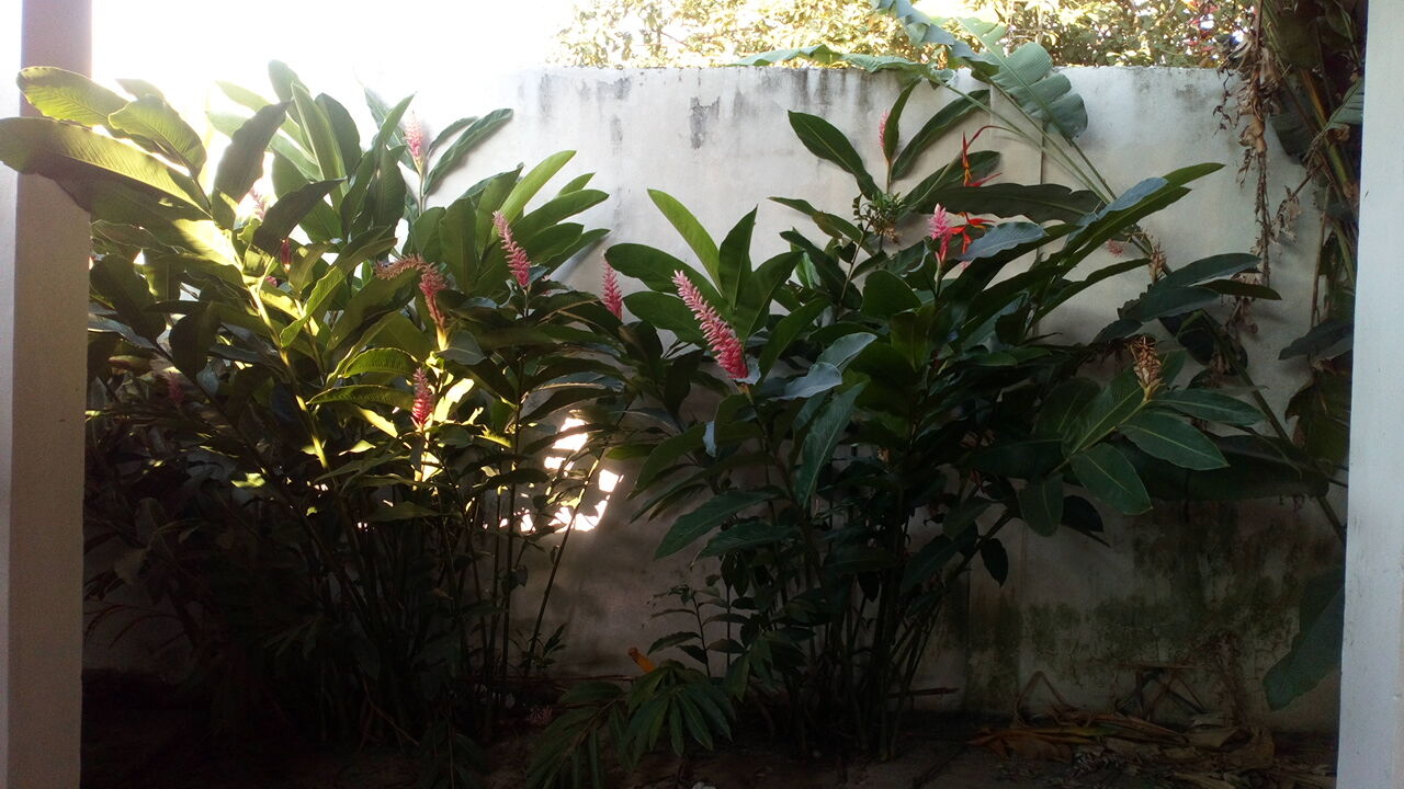 Quinta Soledad. Eventos Sociales image 2