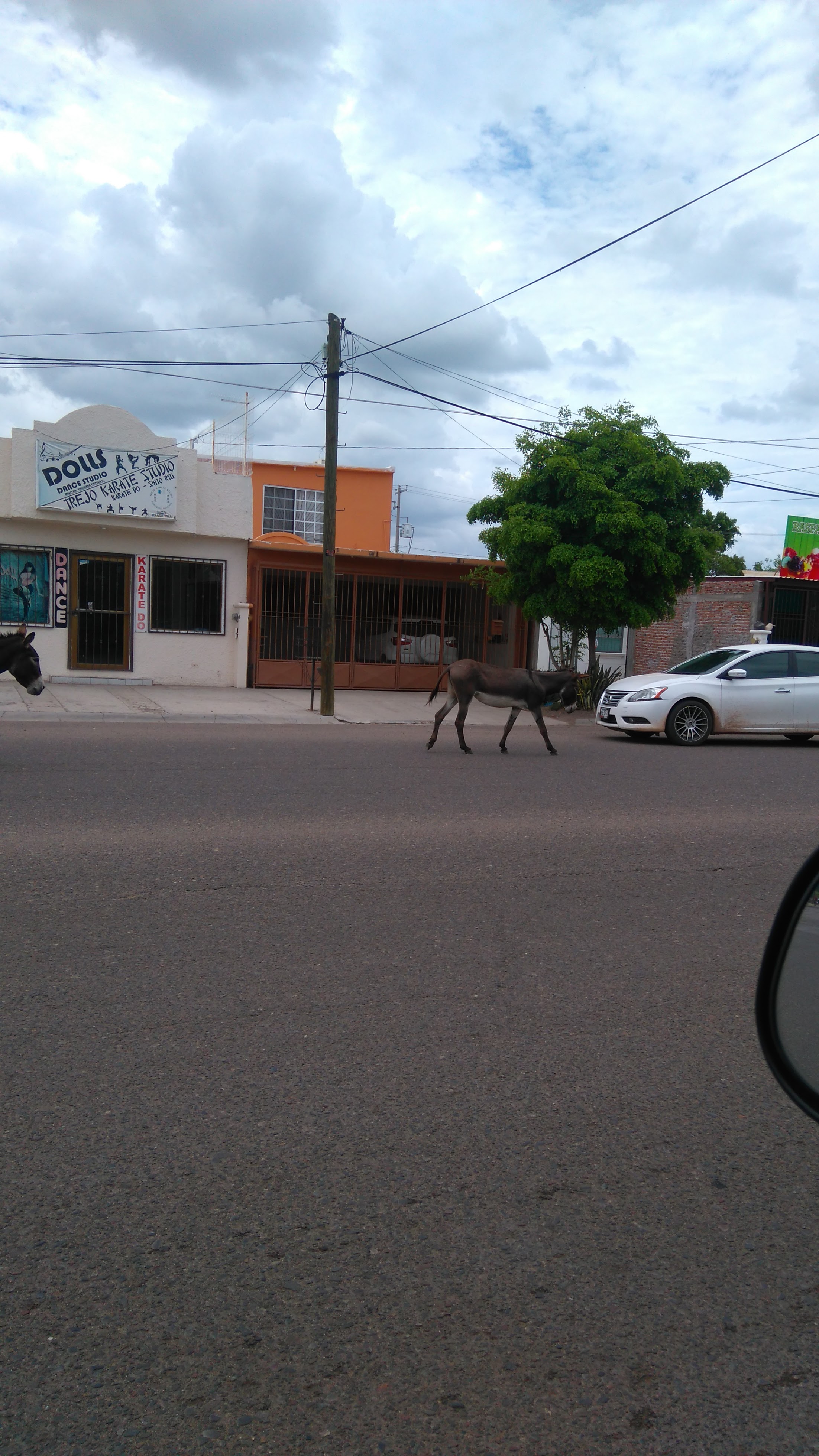 Carnitas Villa Bonita image 1