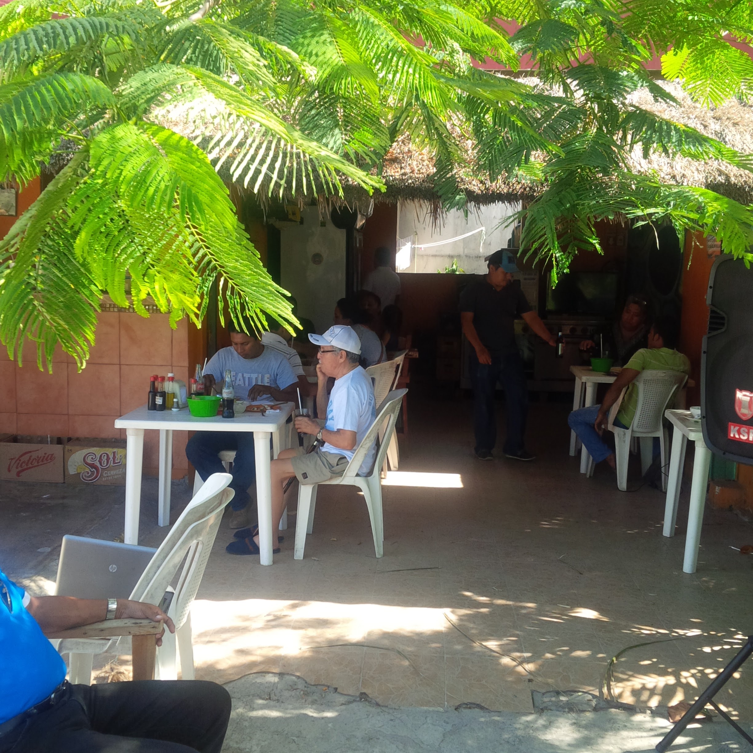 ceviches y cocteles los cocos (Rejon Torres Julio Olegario) image 1