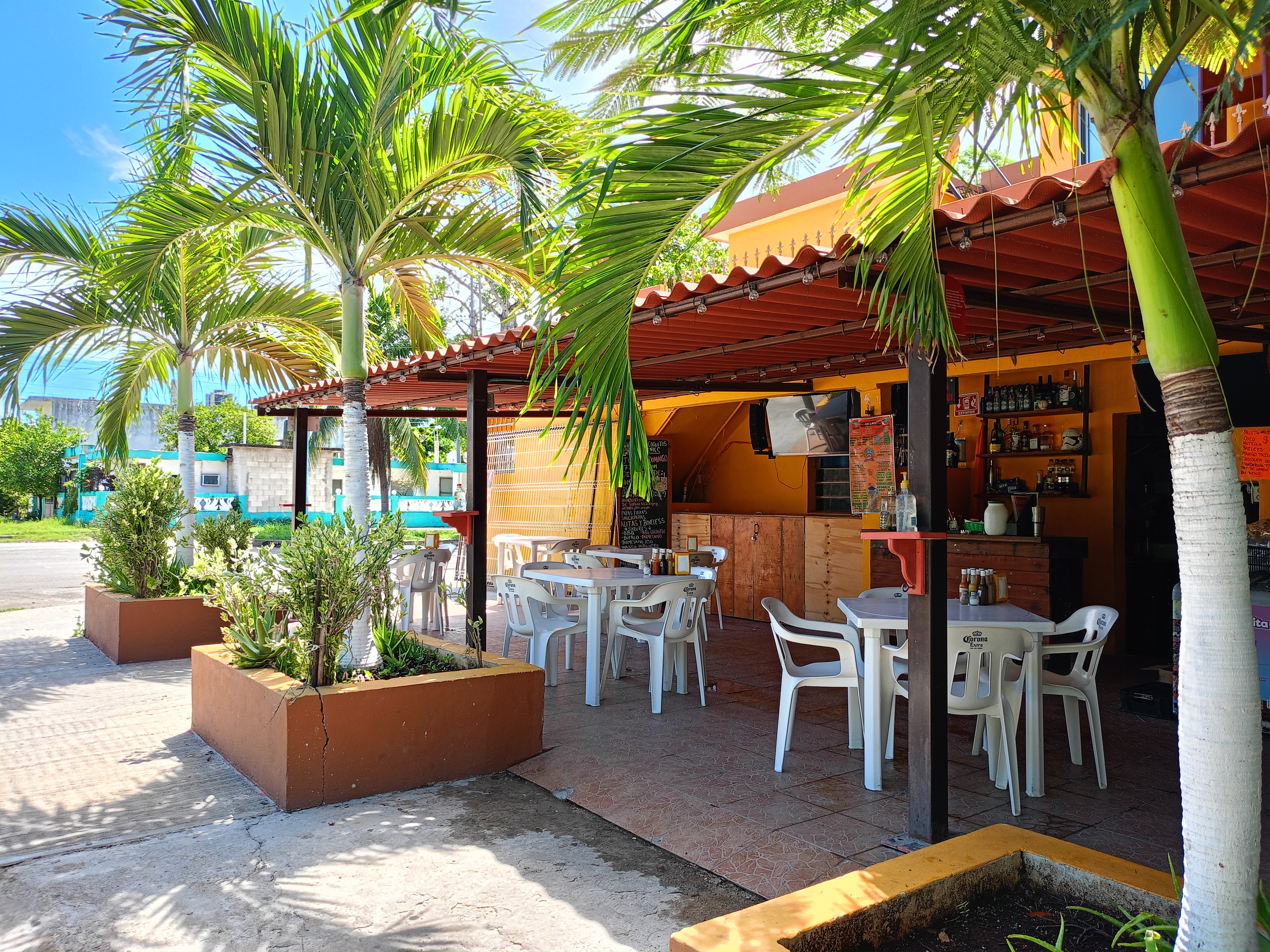 ceviches y cocteles los cocos (Rejon Torres Julio Olegario) image 4